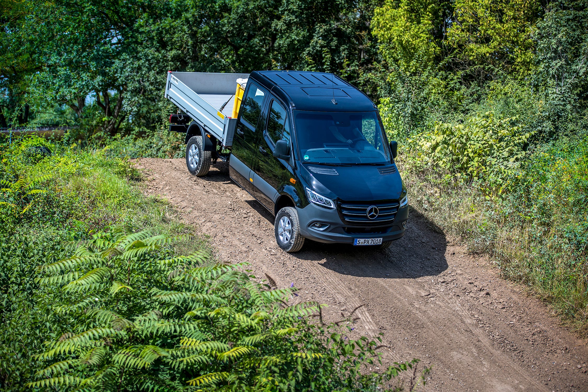 Sprinter
