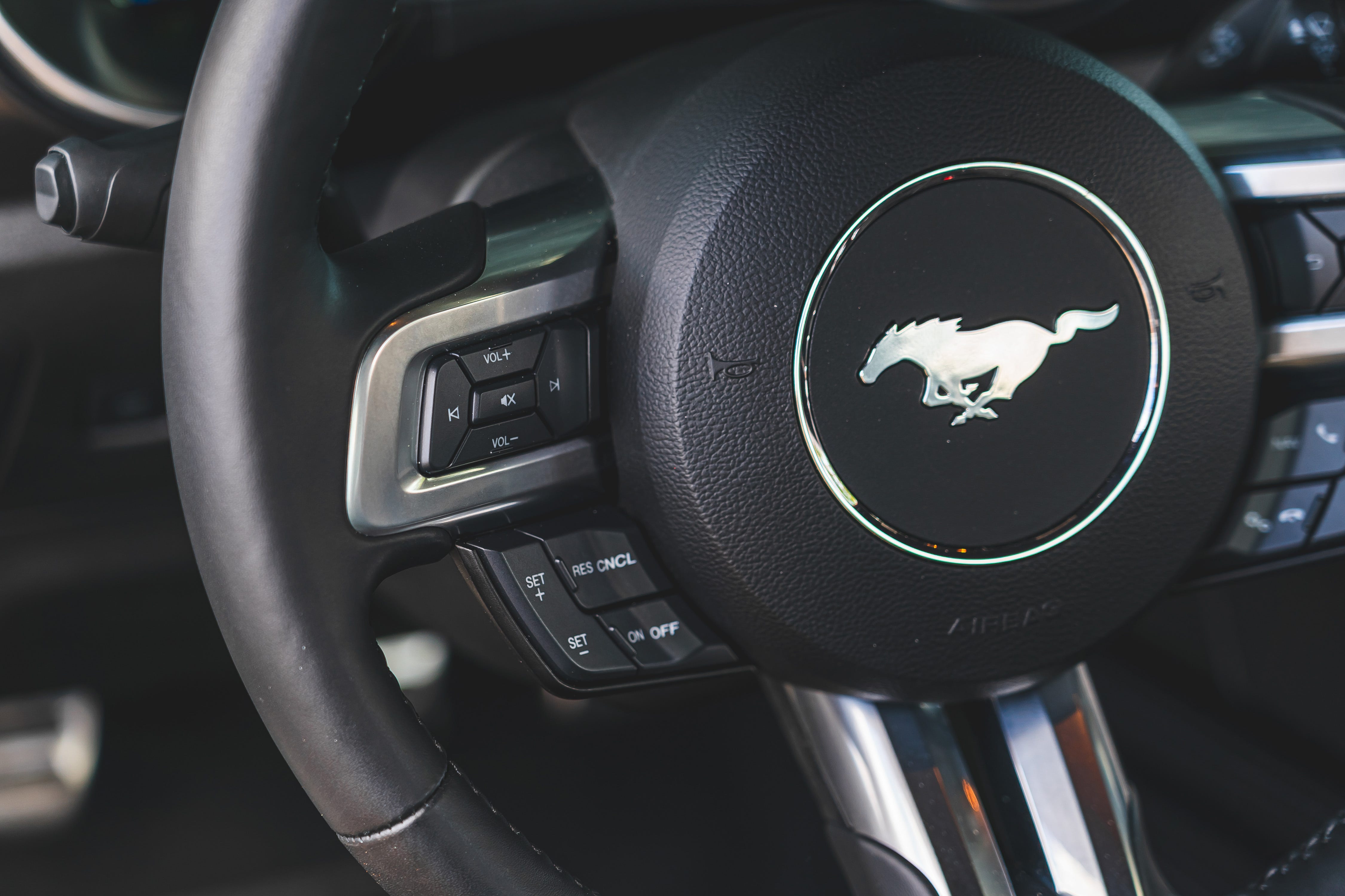 Mustang