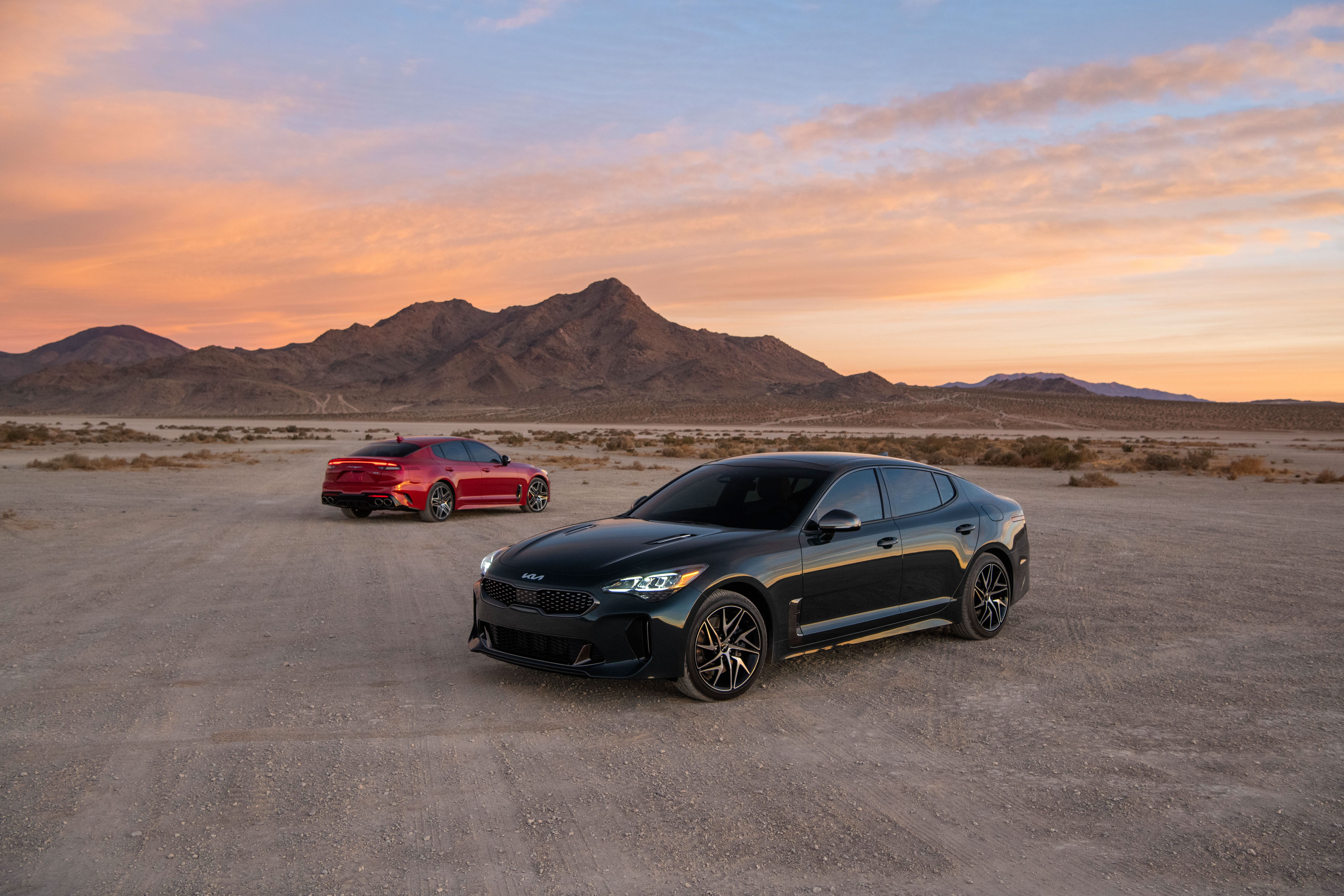 Stinger