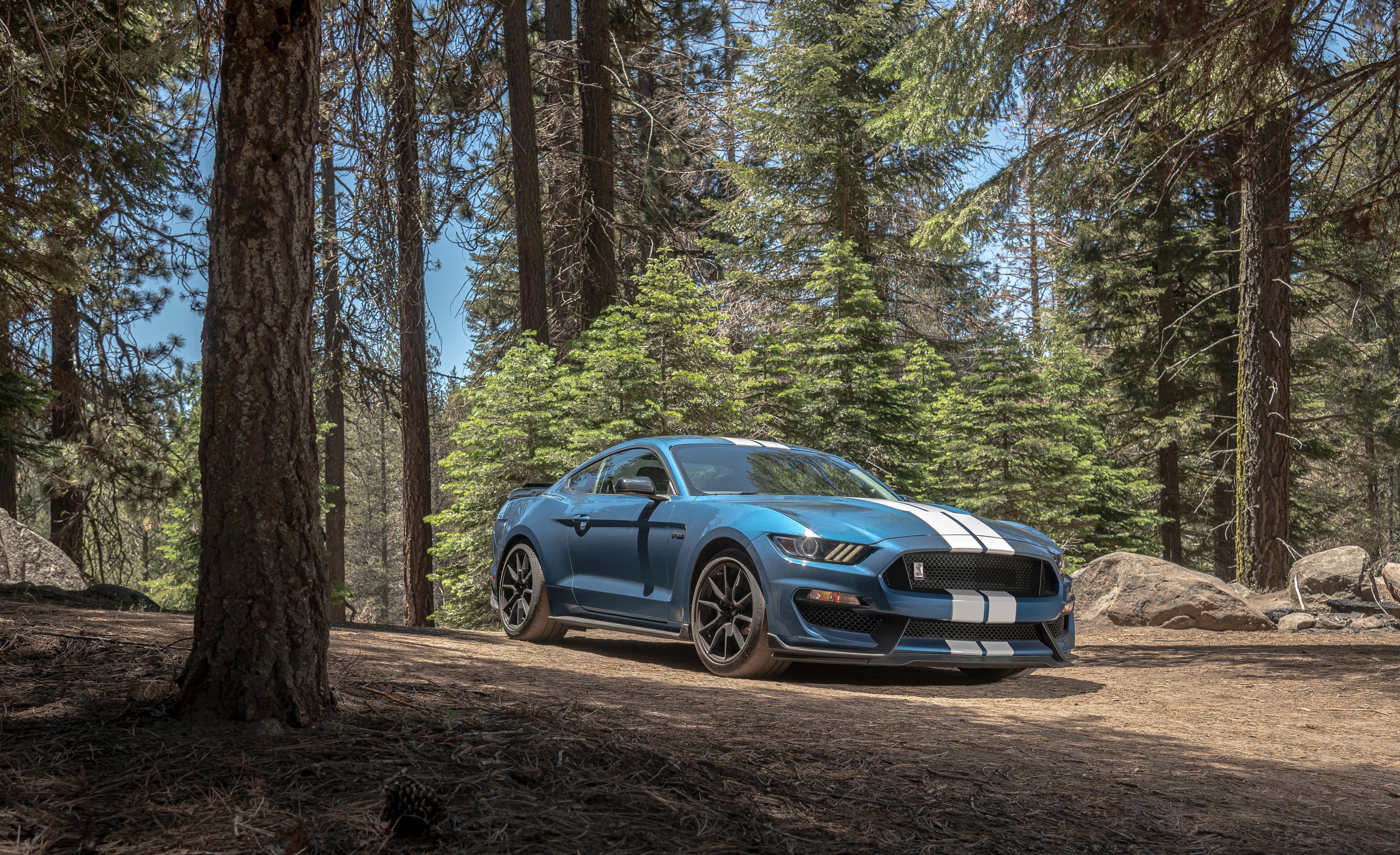 Mustang Shelby GT350 / GT350R