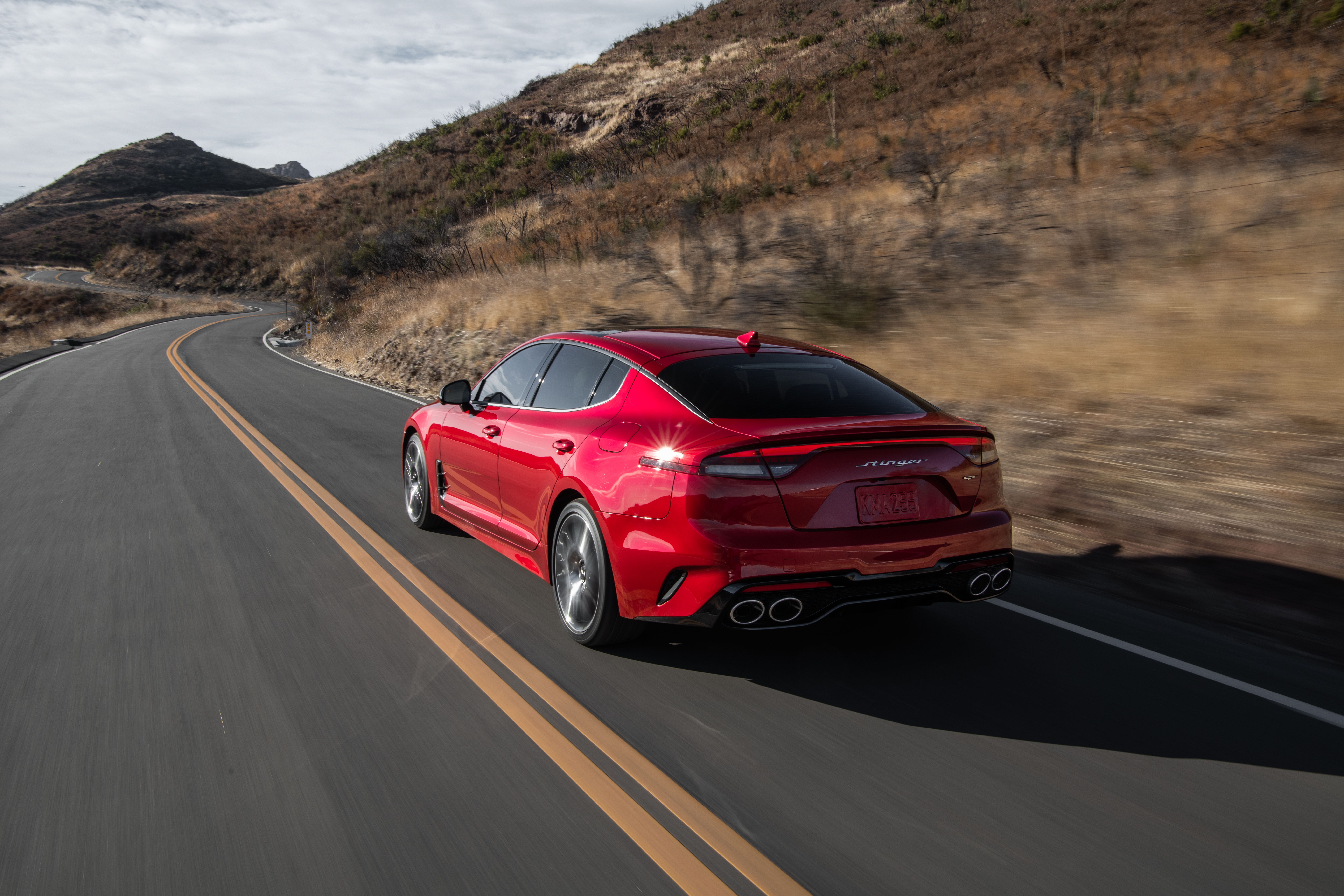 Stinger