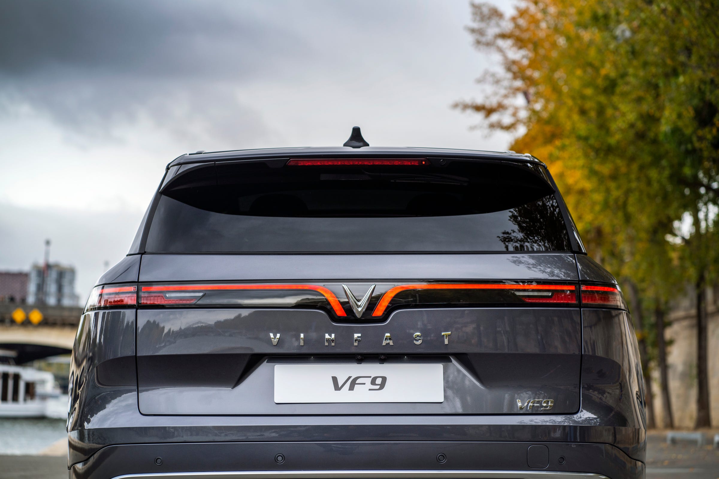 VF9