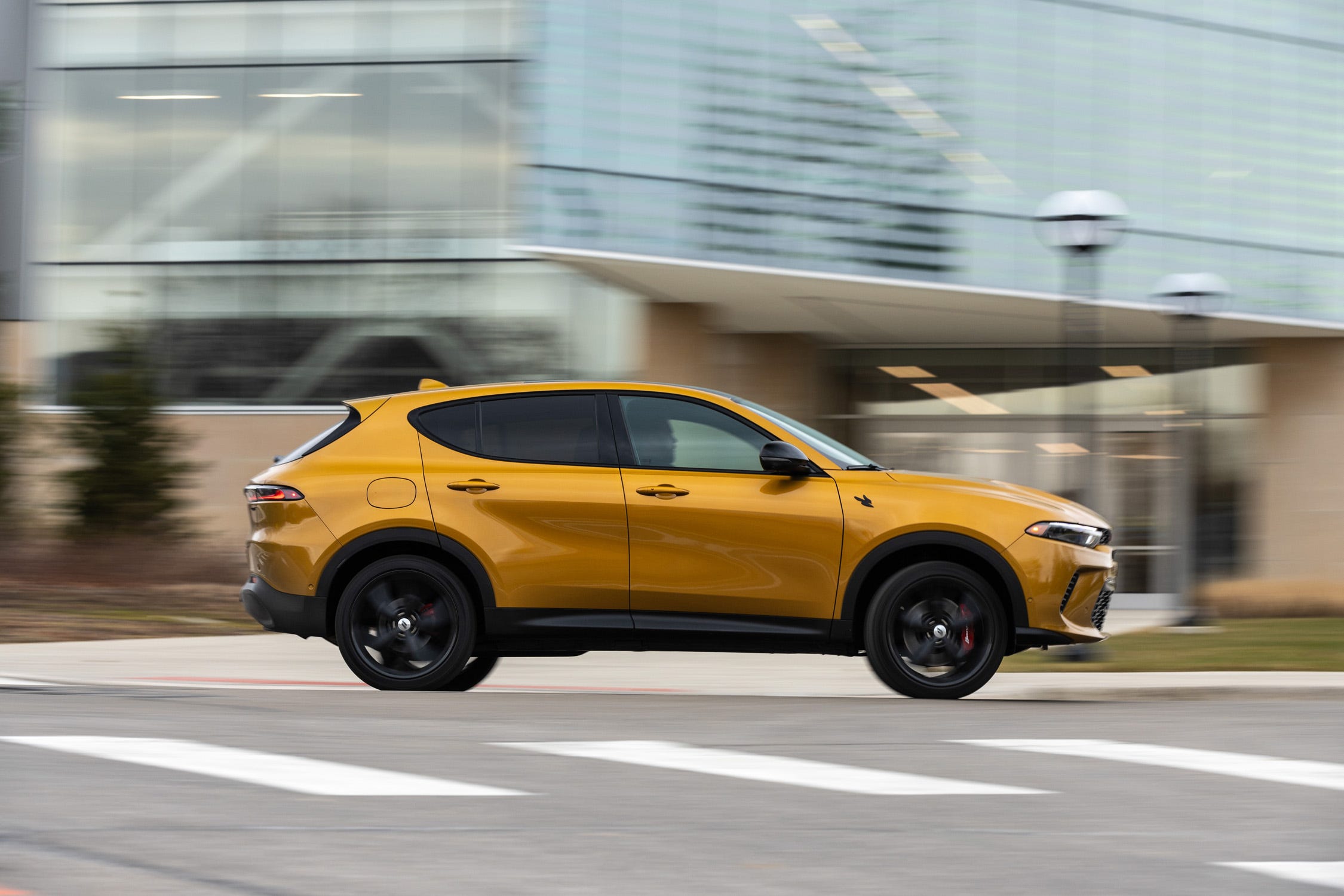 Hornet