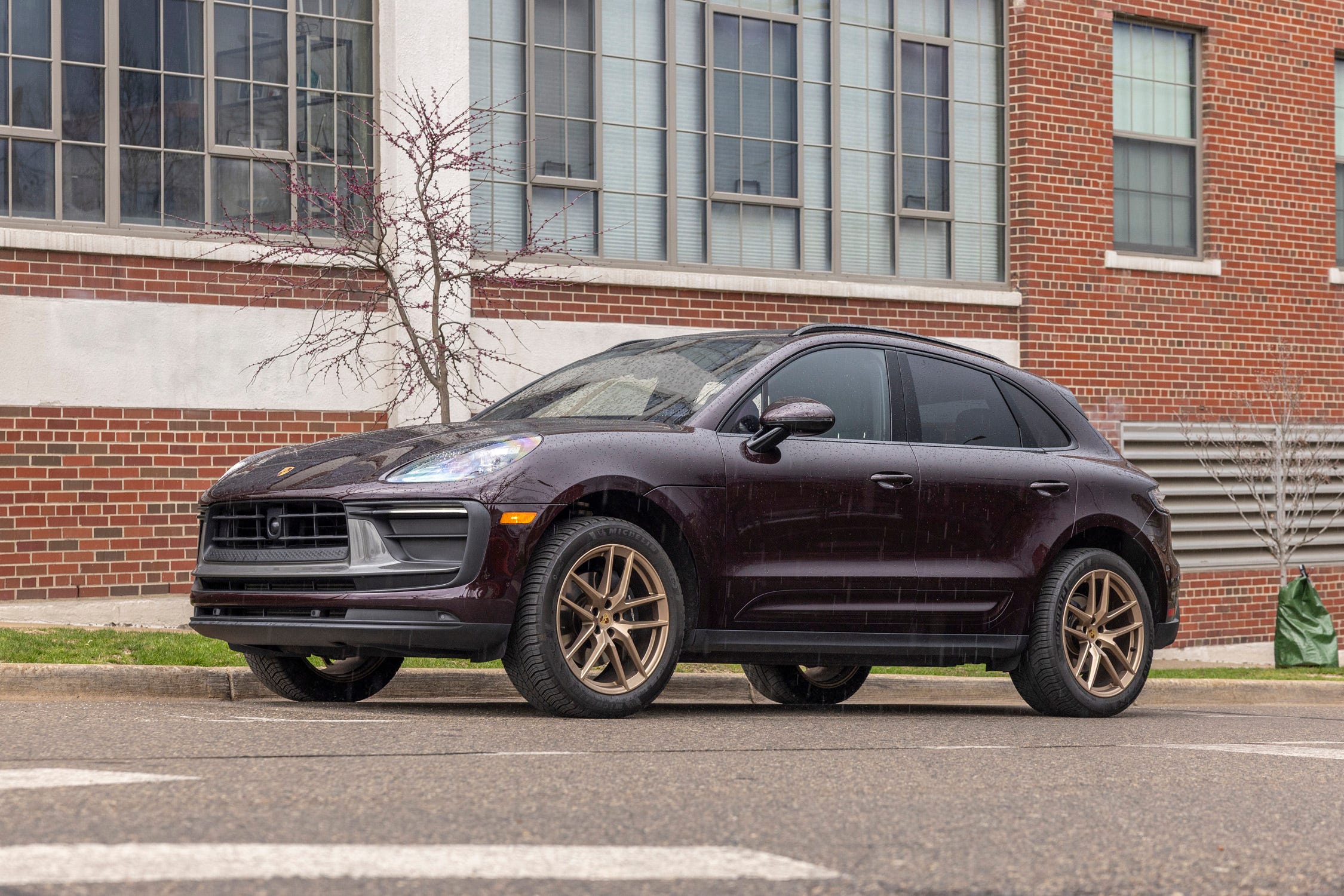 Macan
