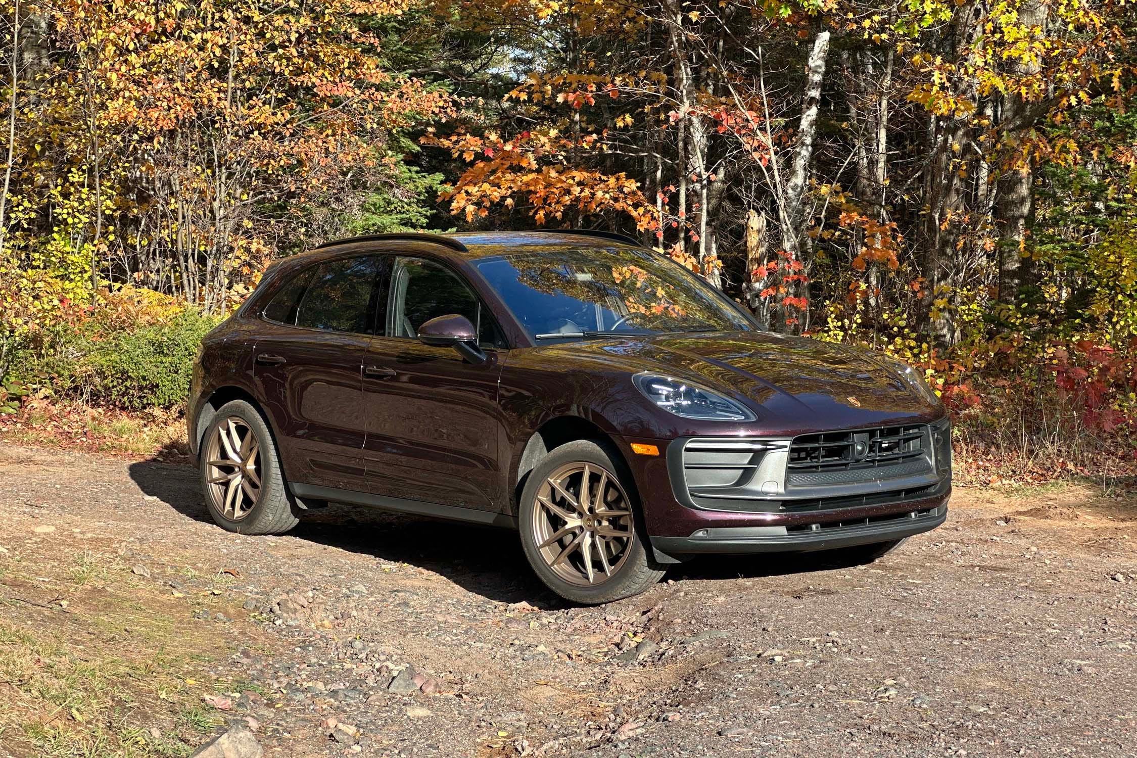Macan