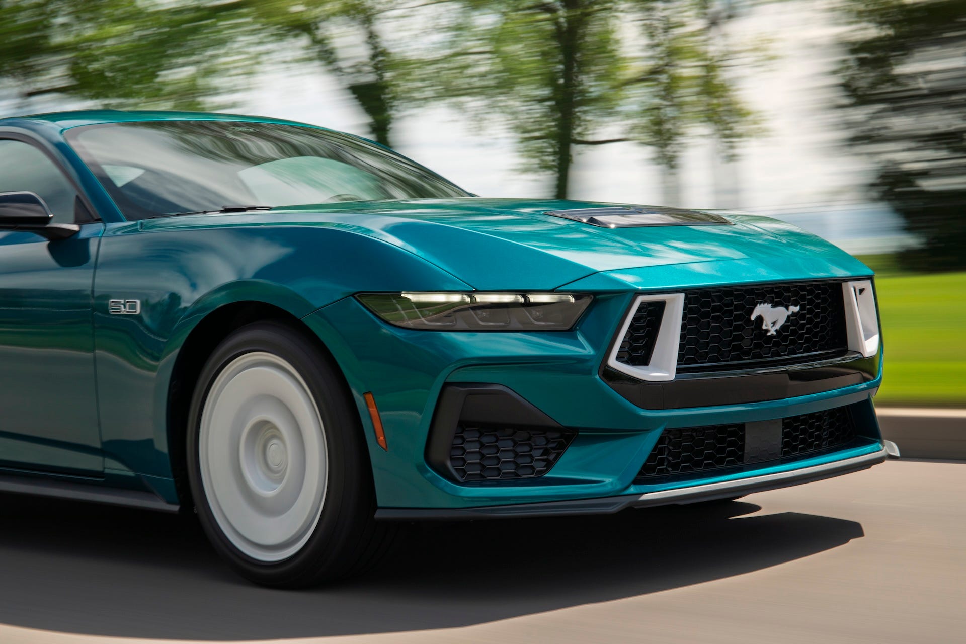 Mustang