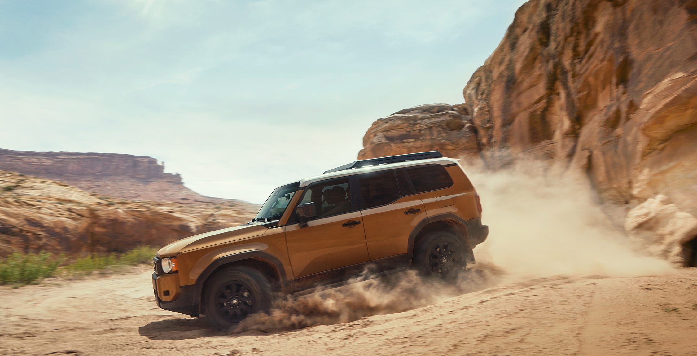 Land Cruiser