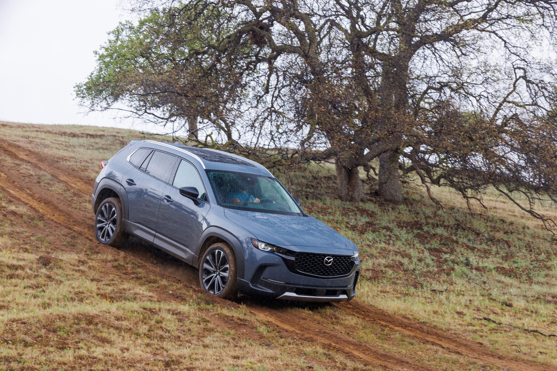 CX-50