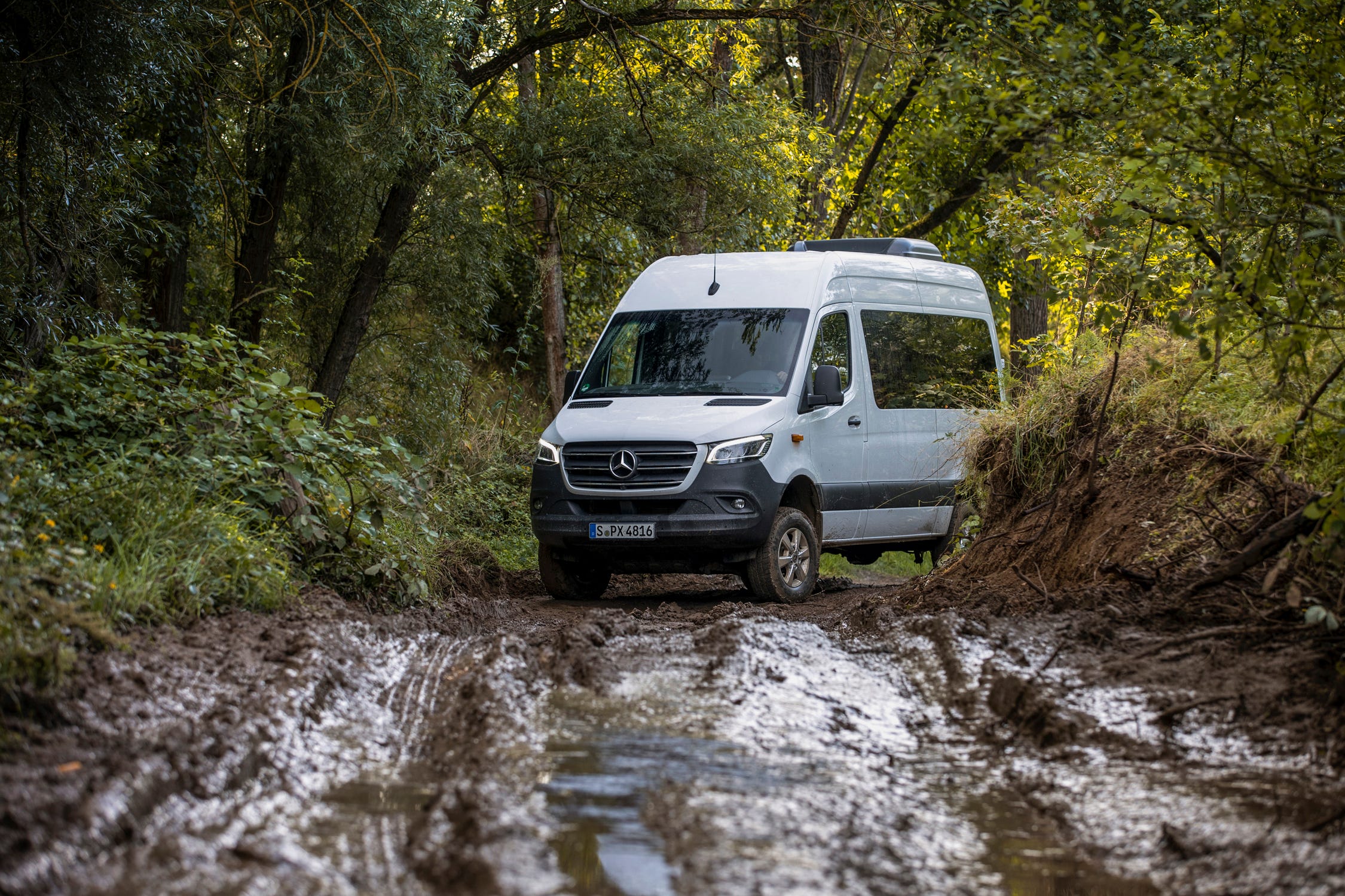 Sprinter