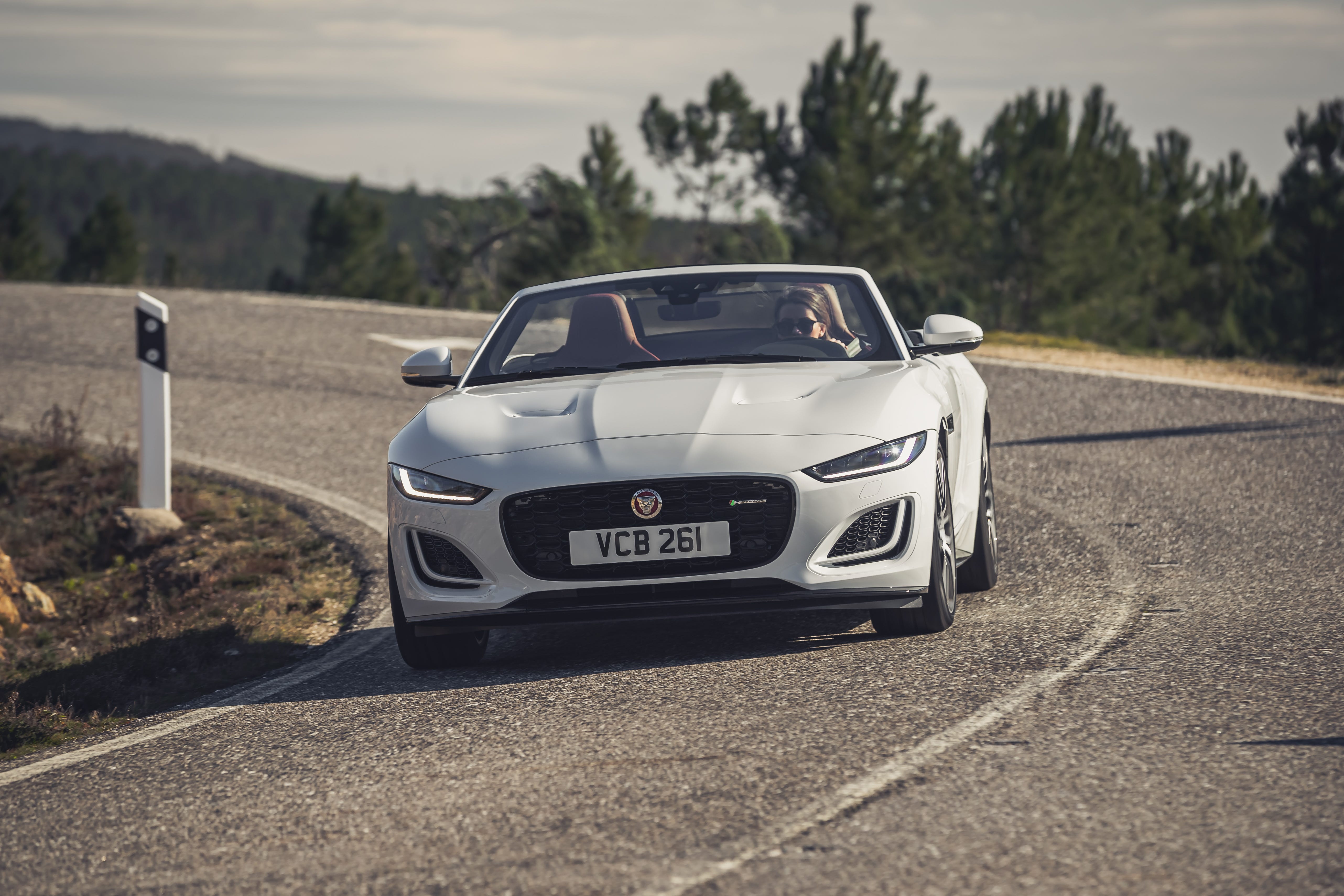 F-Type