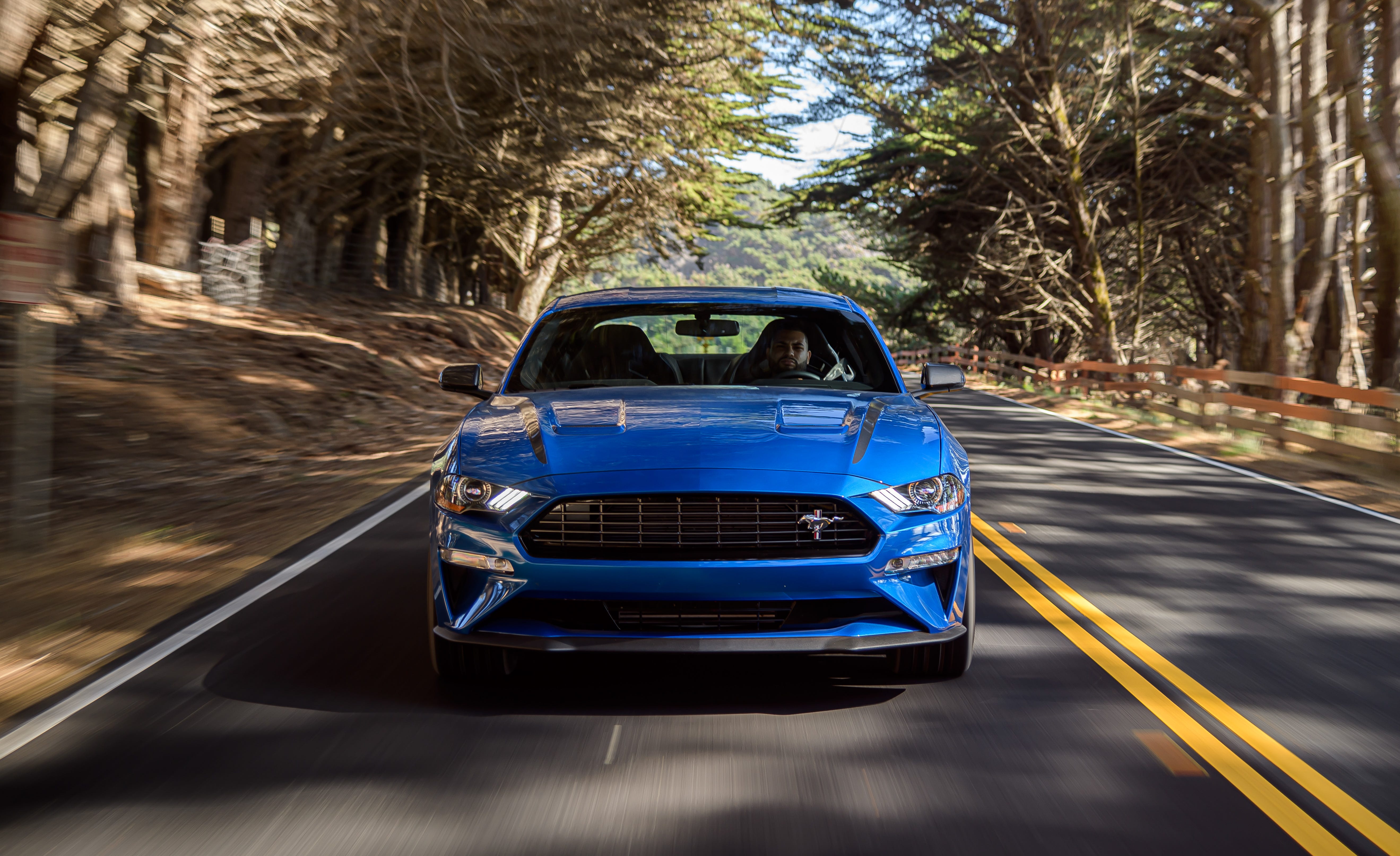 Mustang