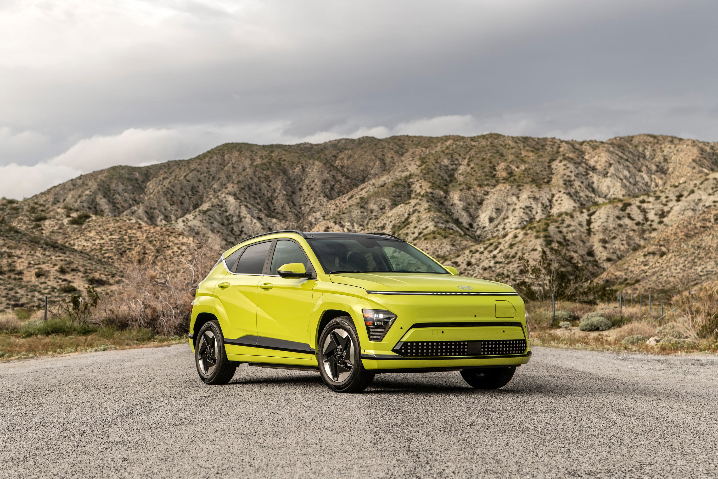 Kona Electric