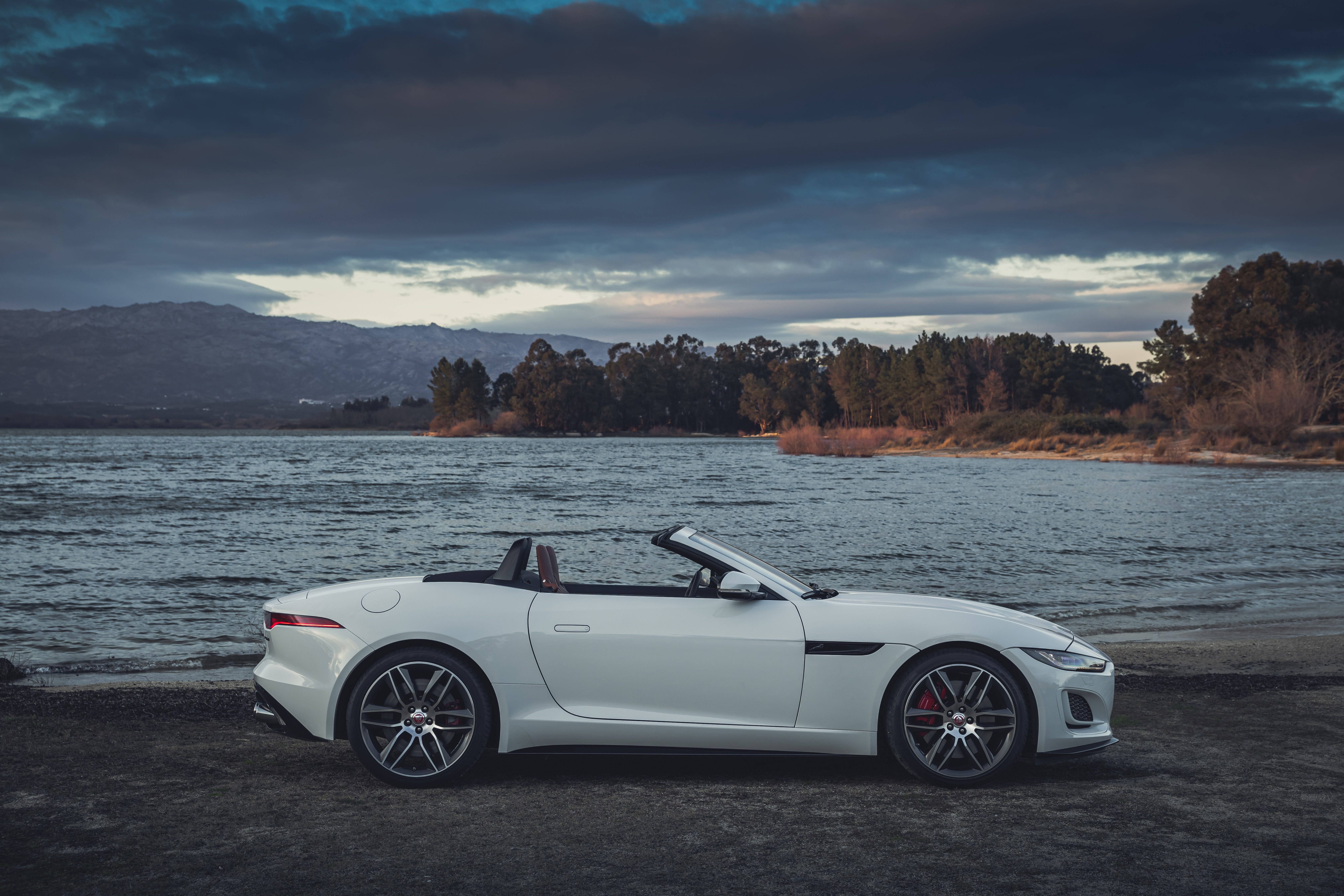 F-Type