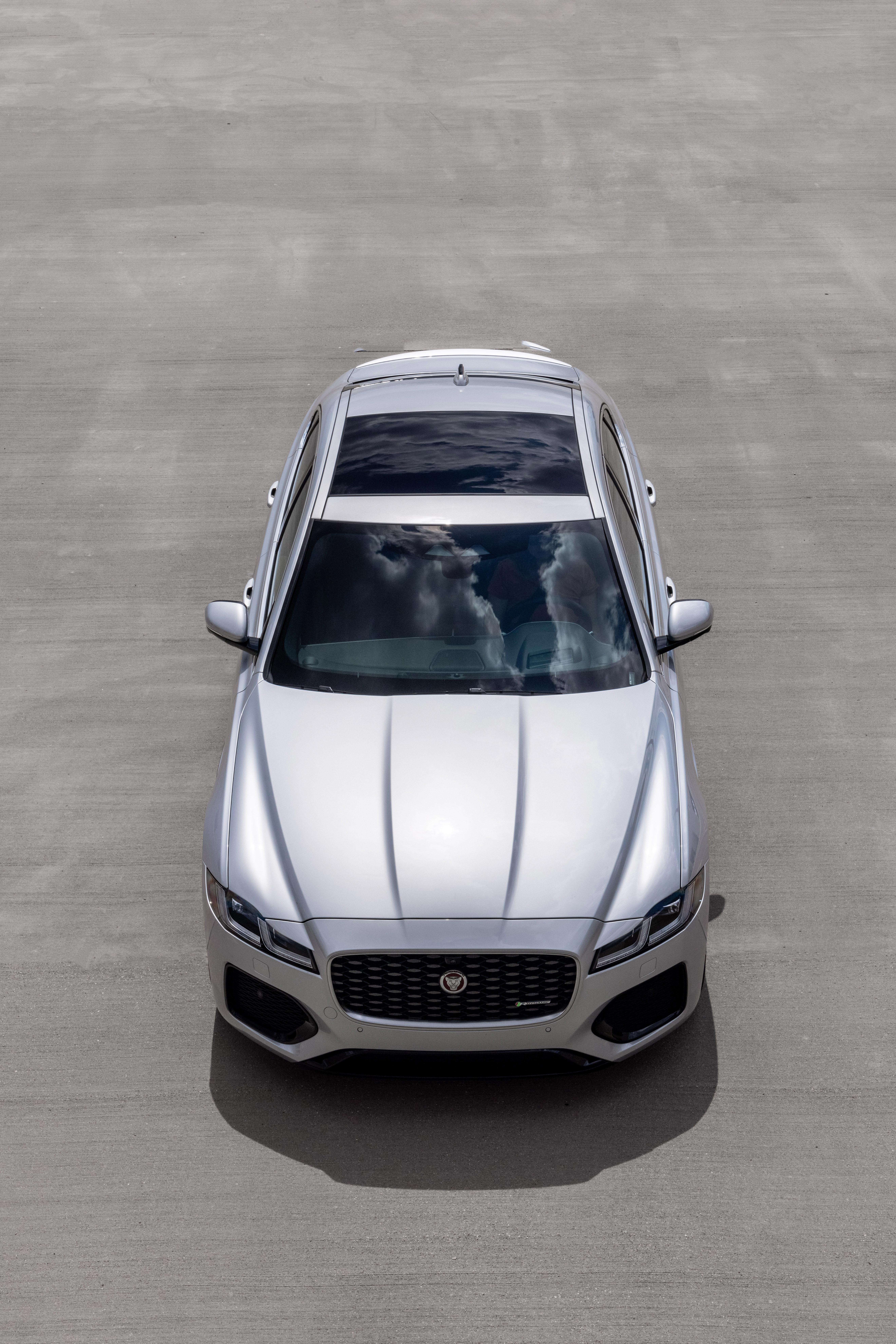 XF