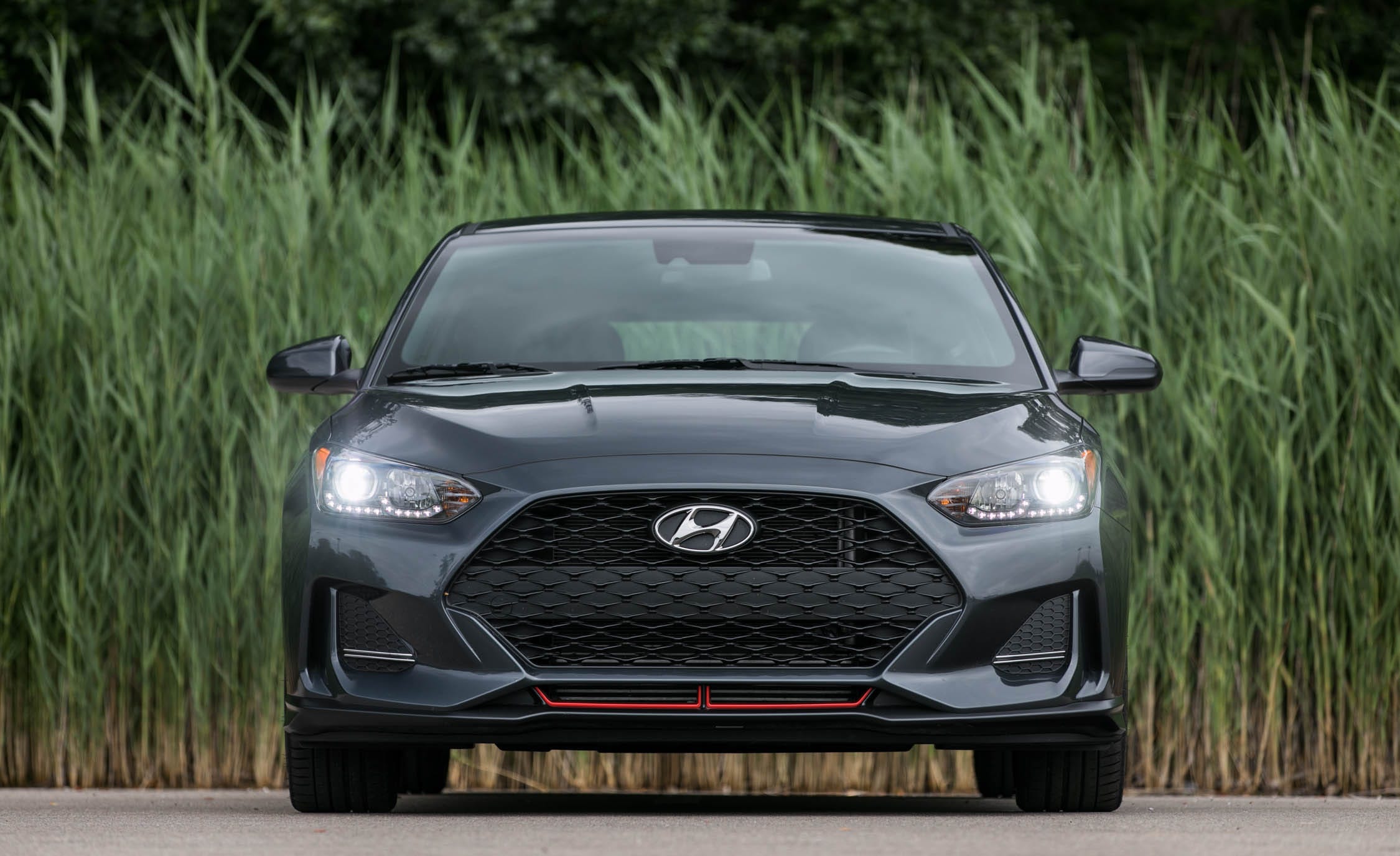 Veloster