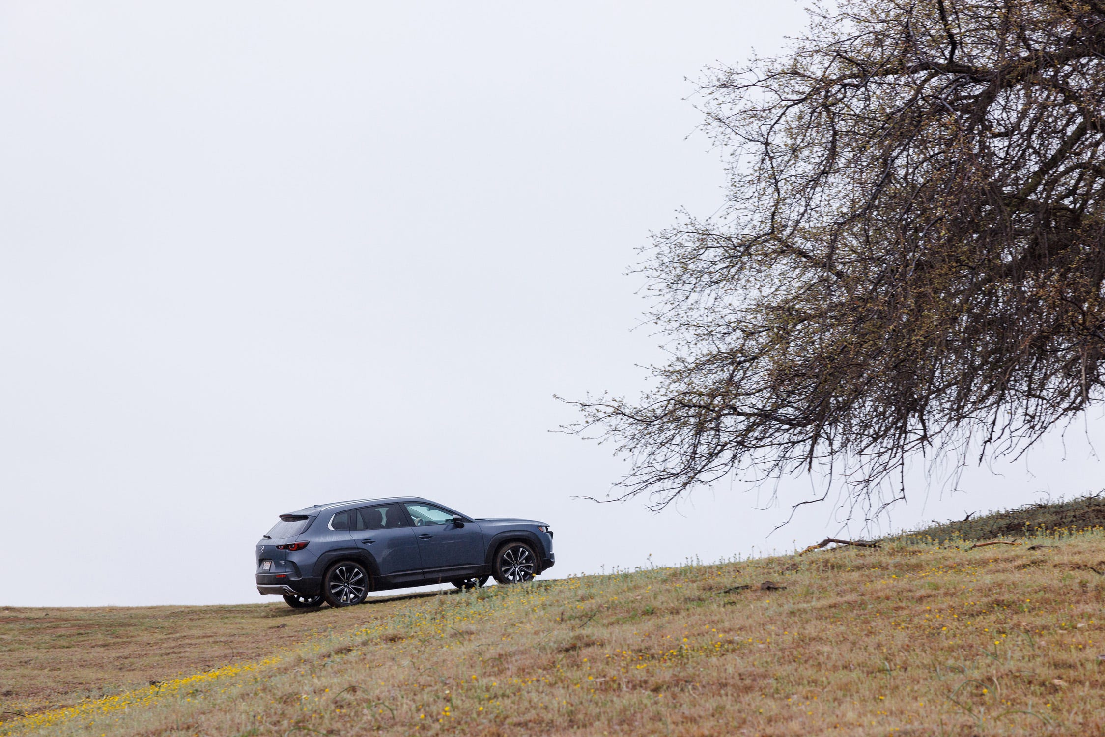 CX-50