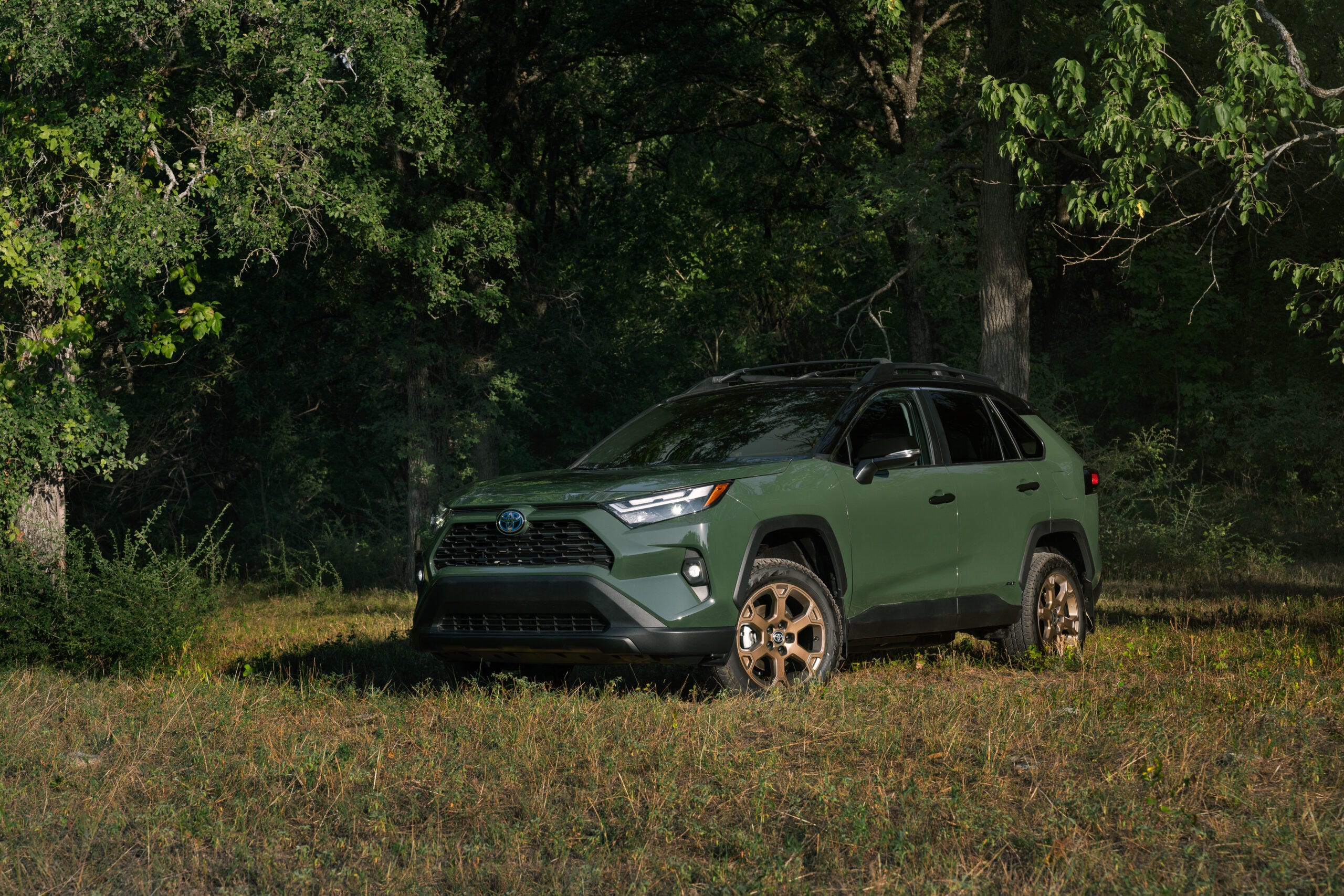 RAV4 Hybrid