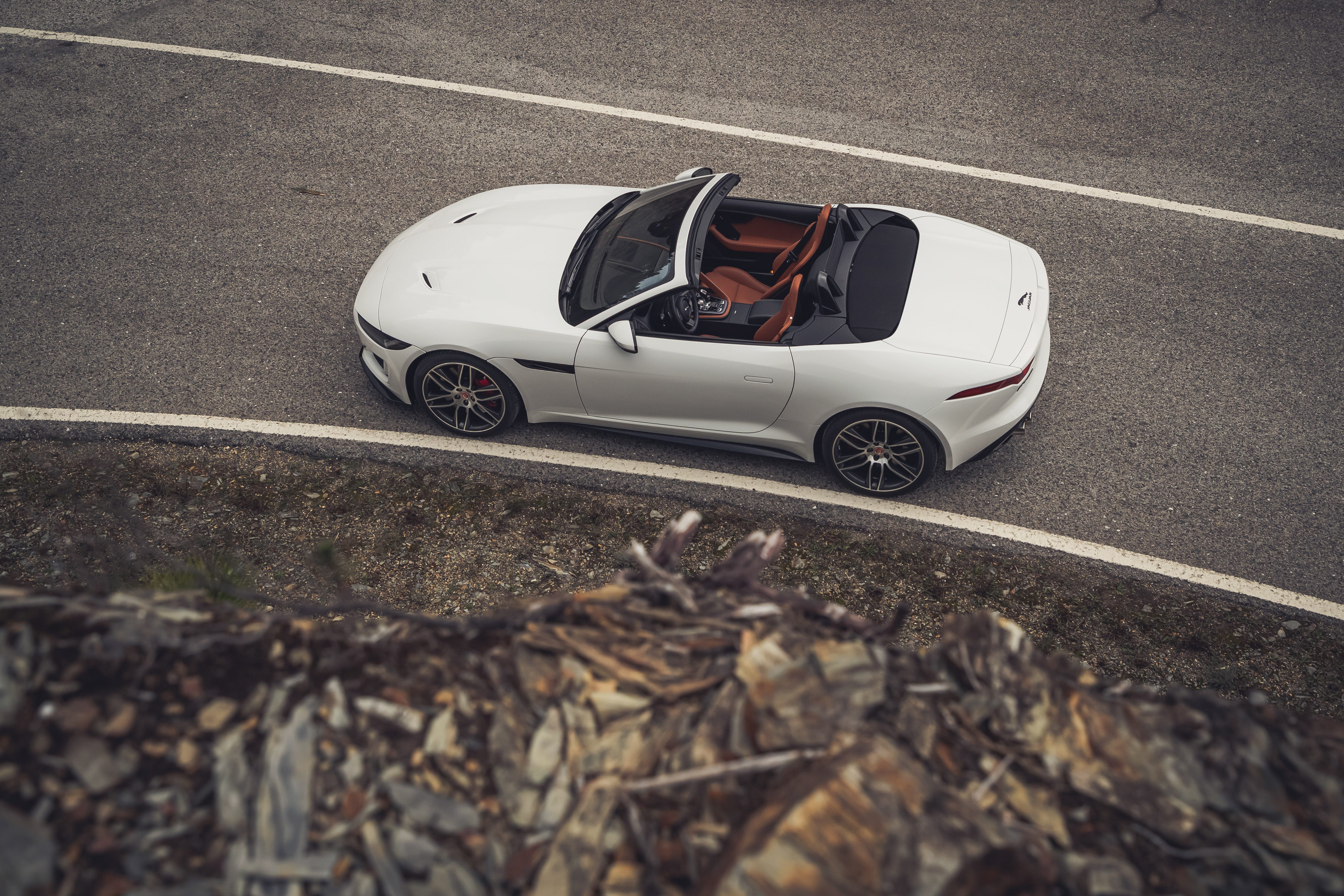 F-Type