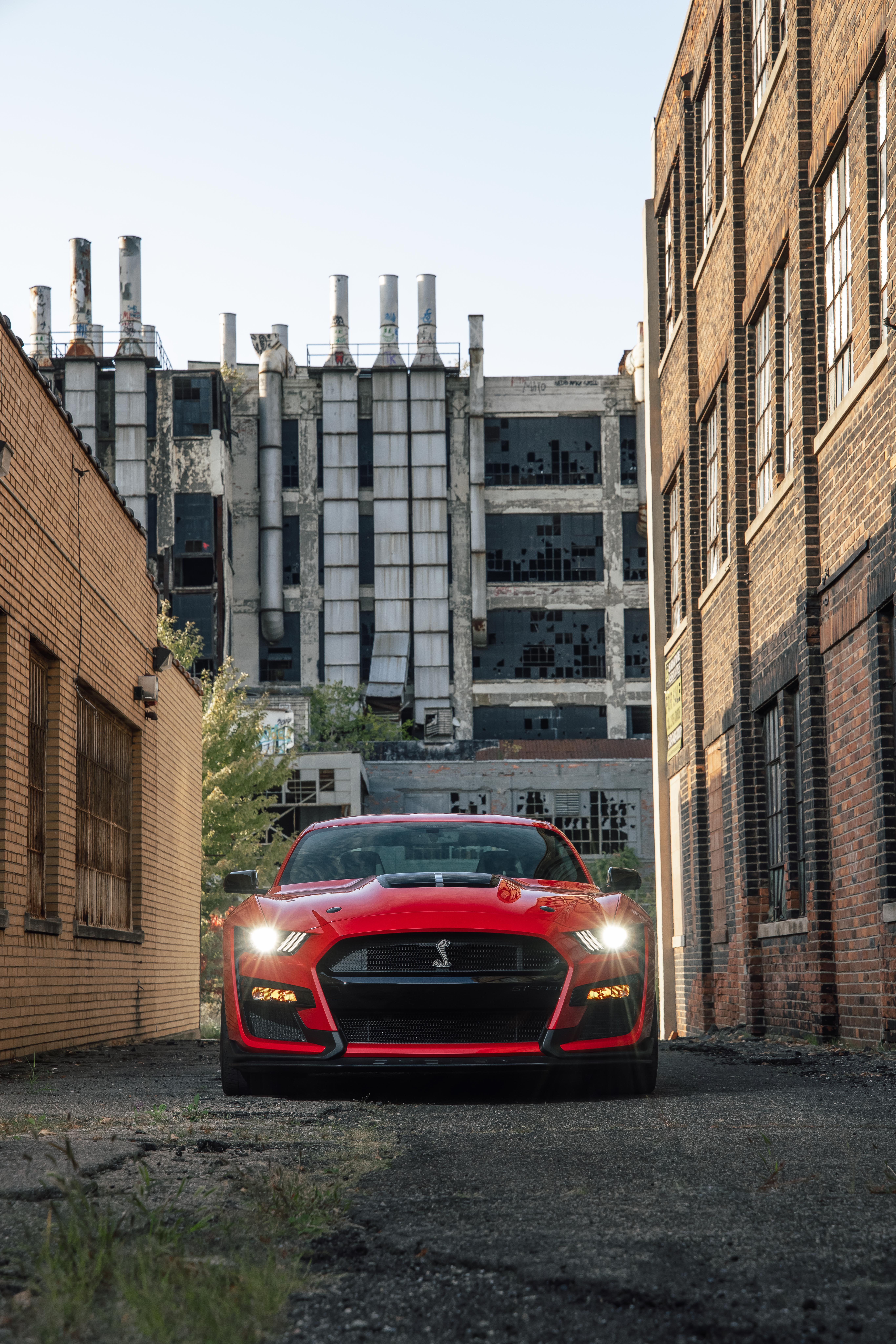 Mustang Shelby GT500
