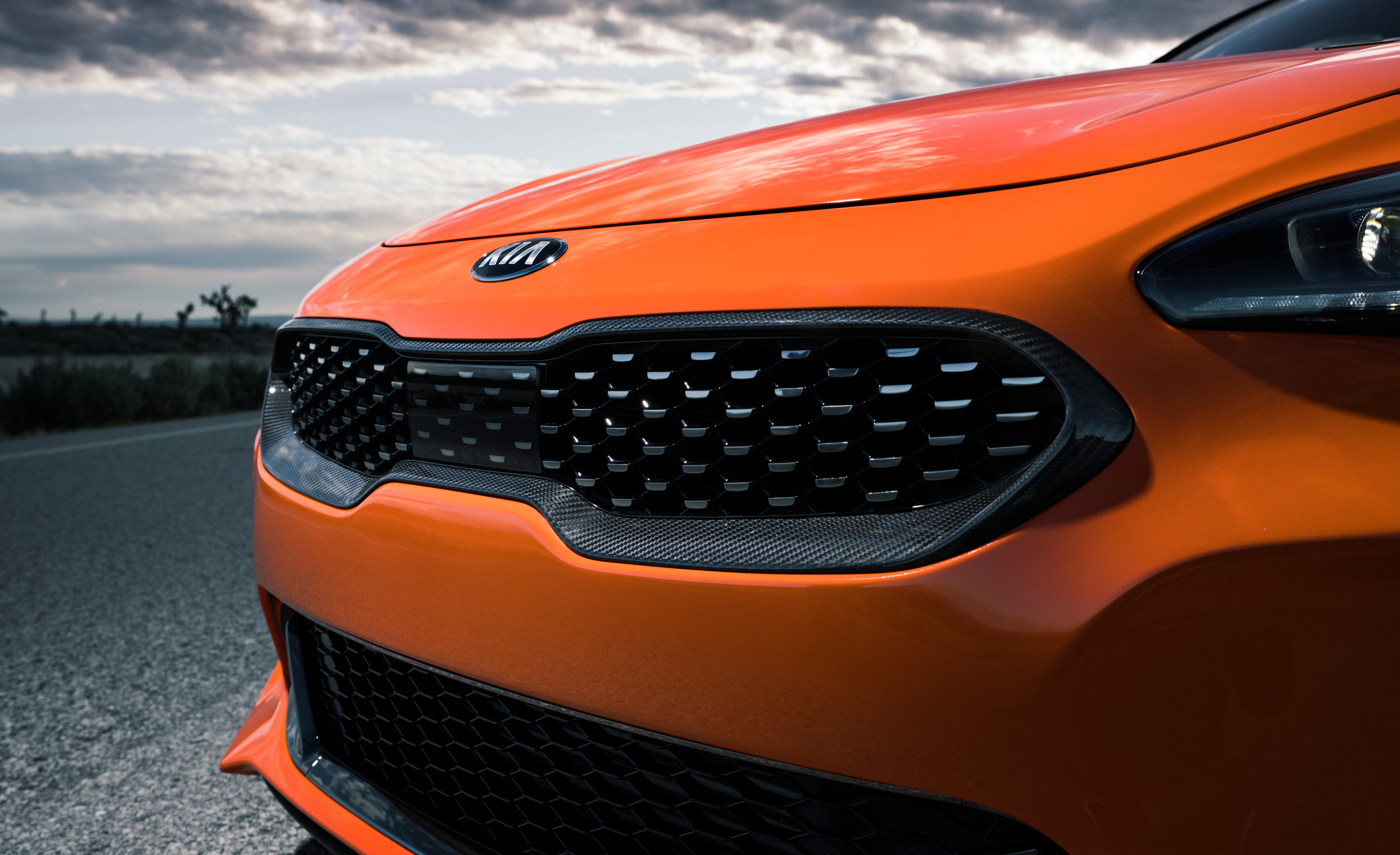 Stinger