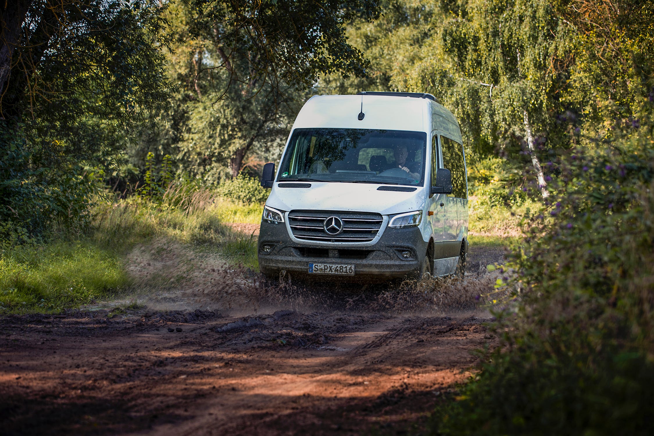 Sprinter