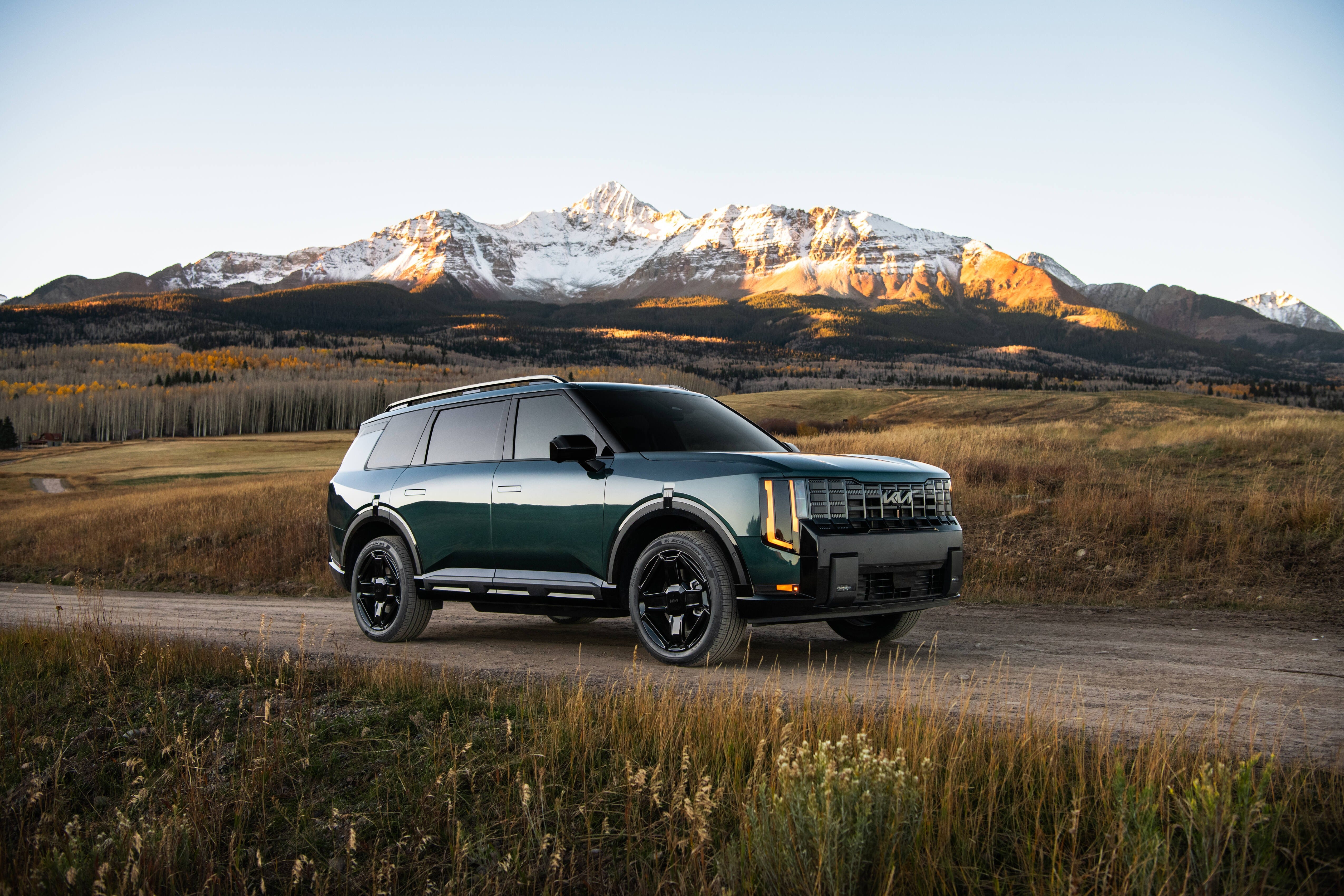 Telluride Hybrid