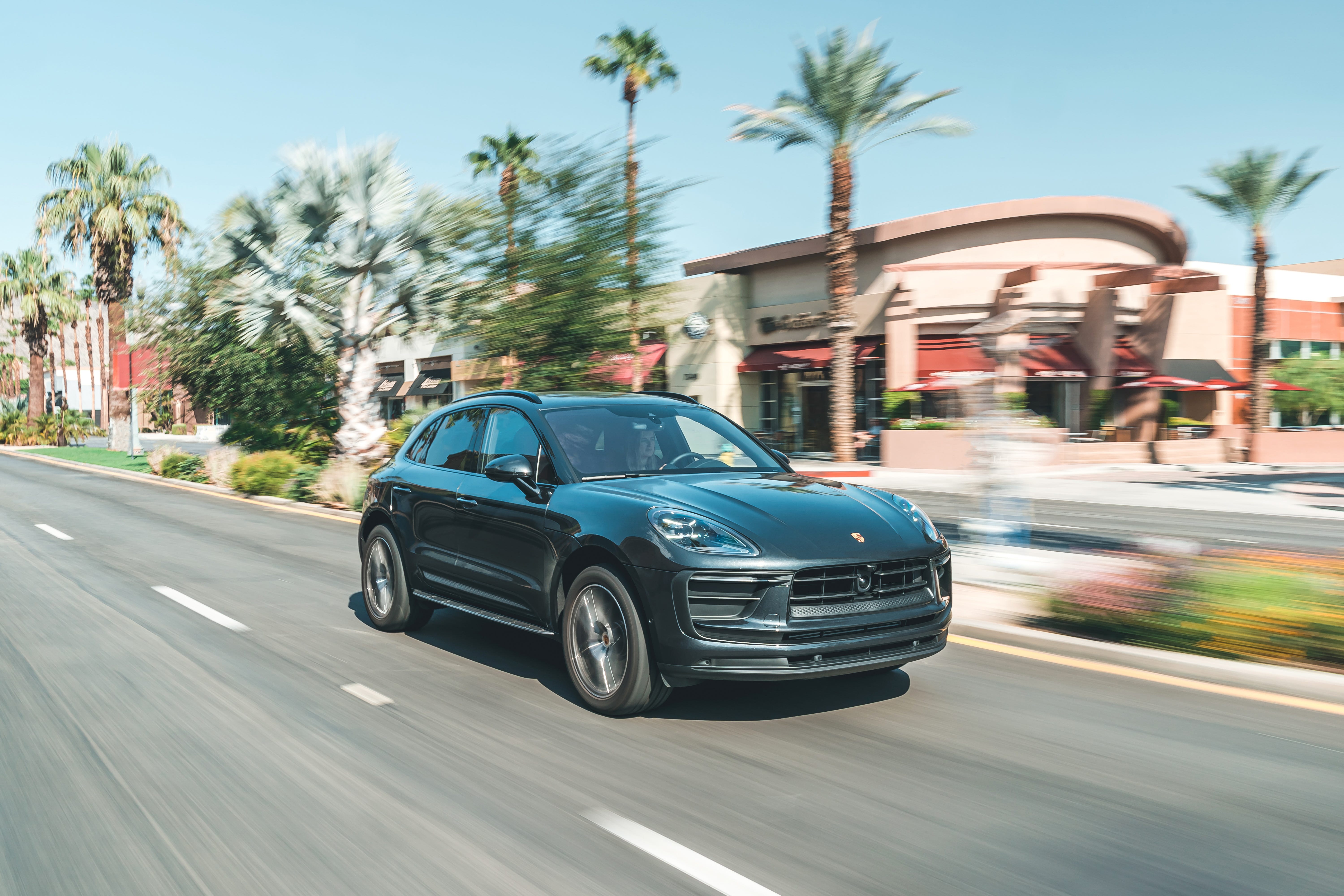 Macan