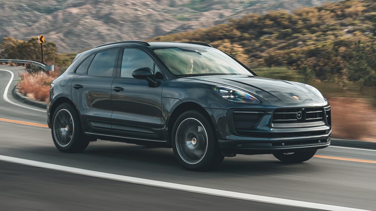 Macan photo