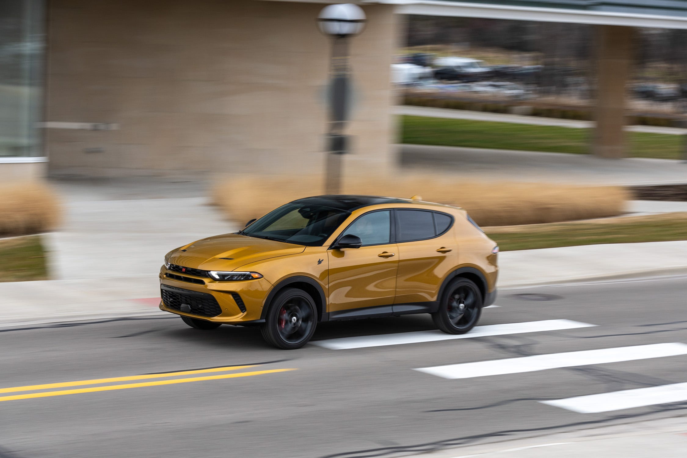 Hornet