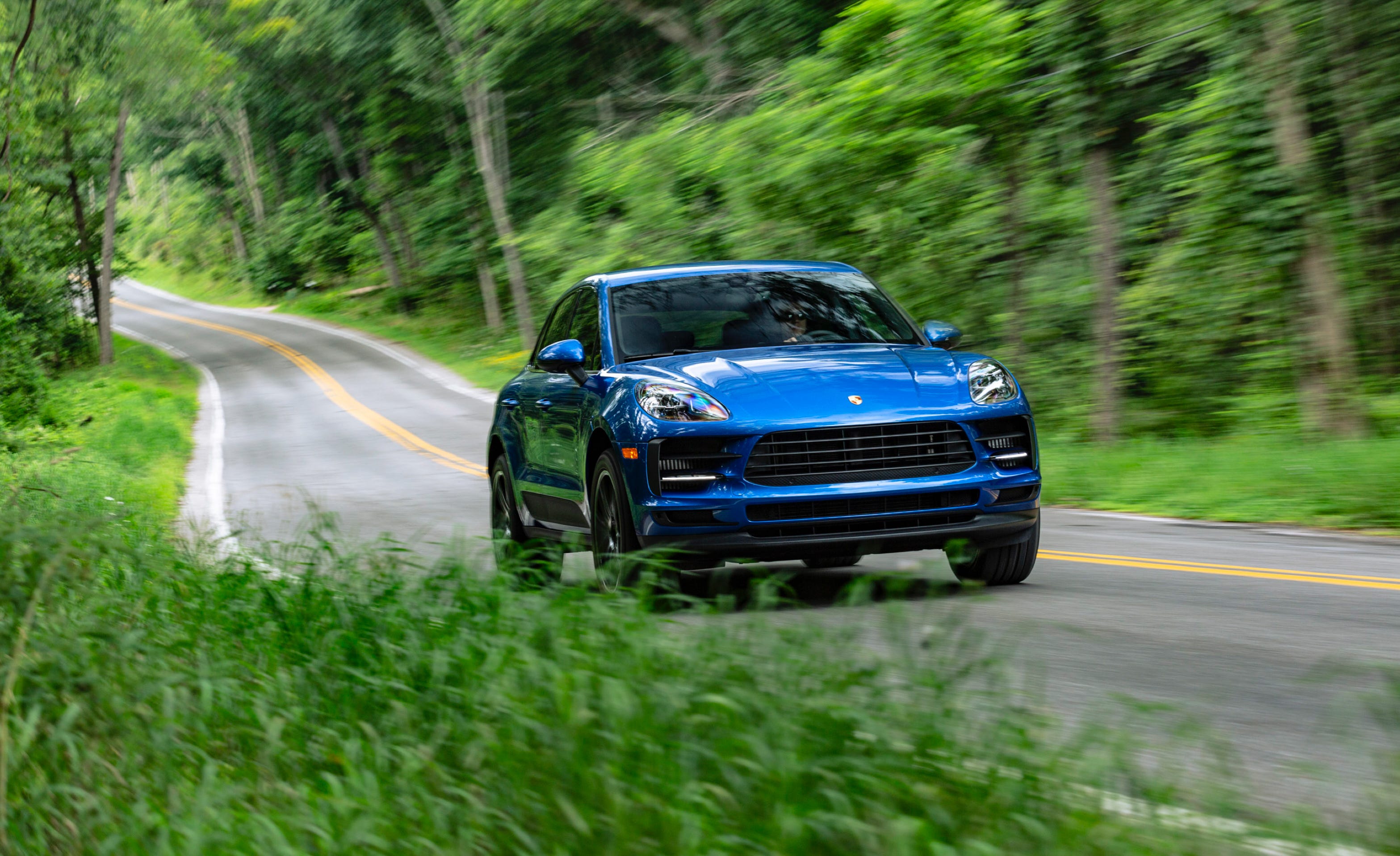 Macan