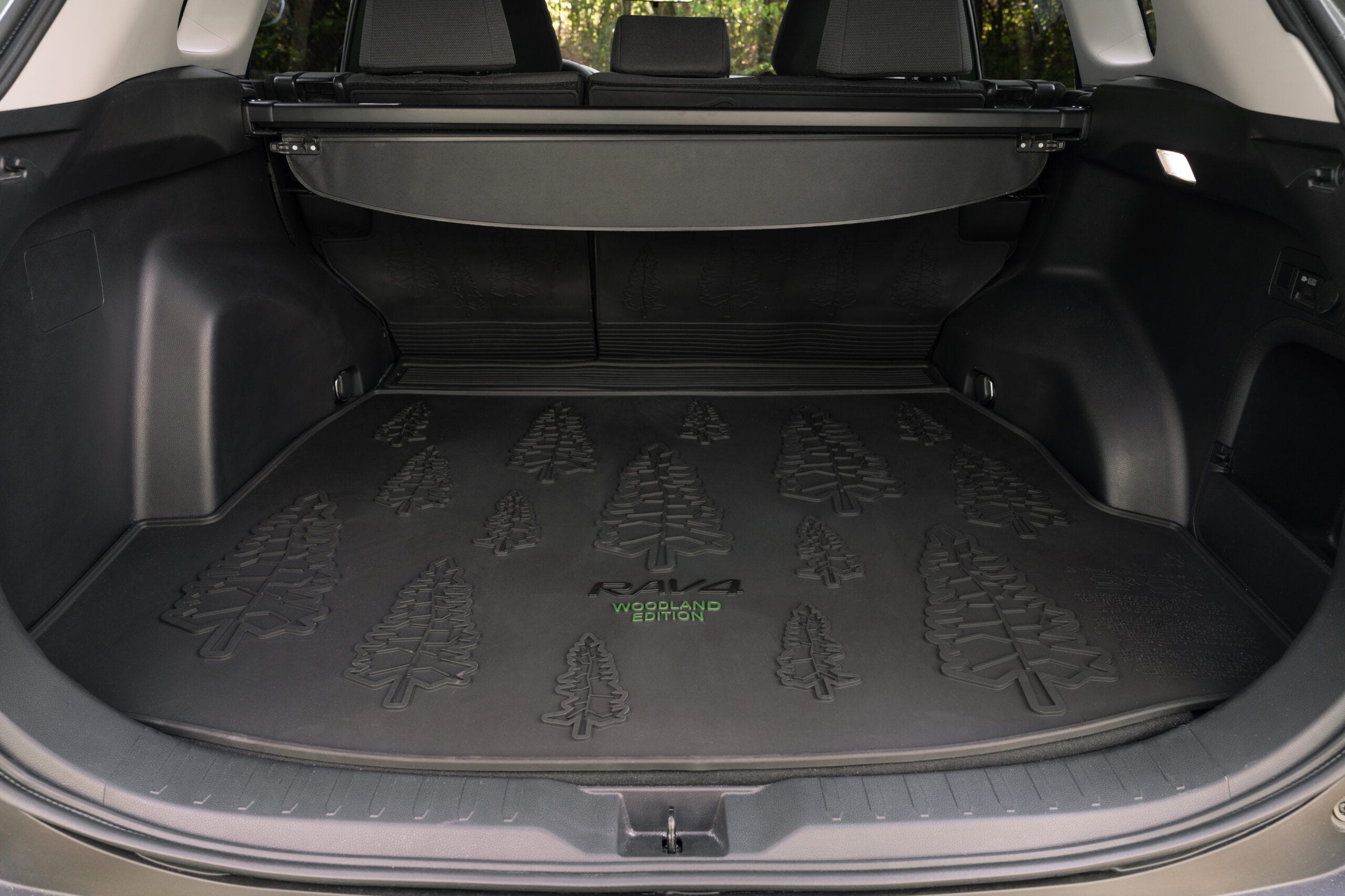 RAV4 Hybrid