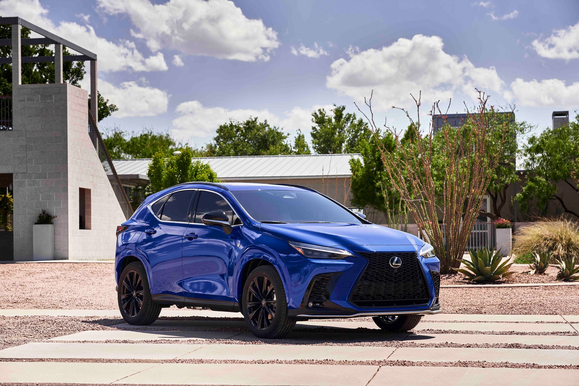 NX Hybrid