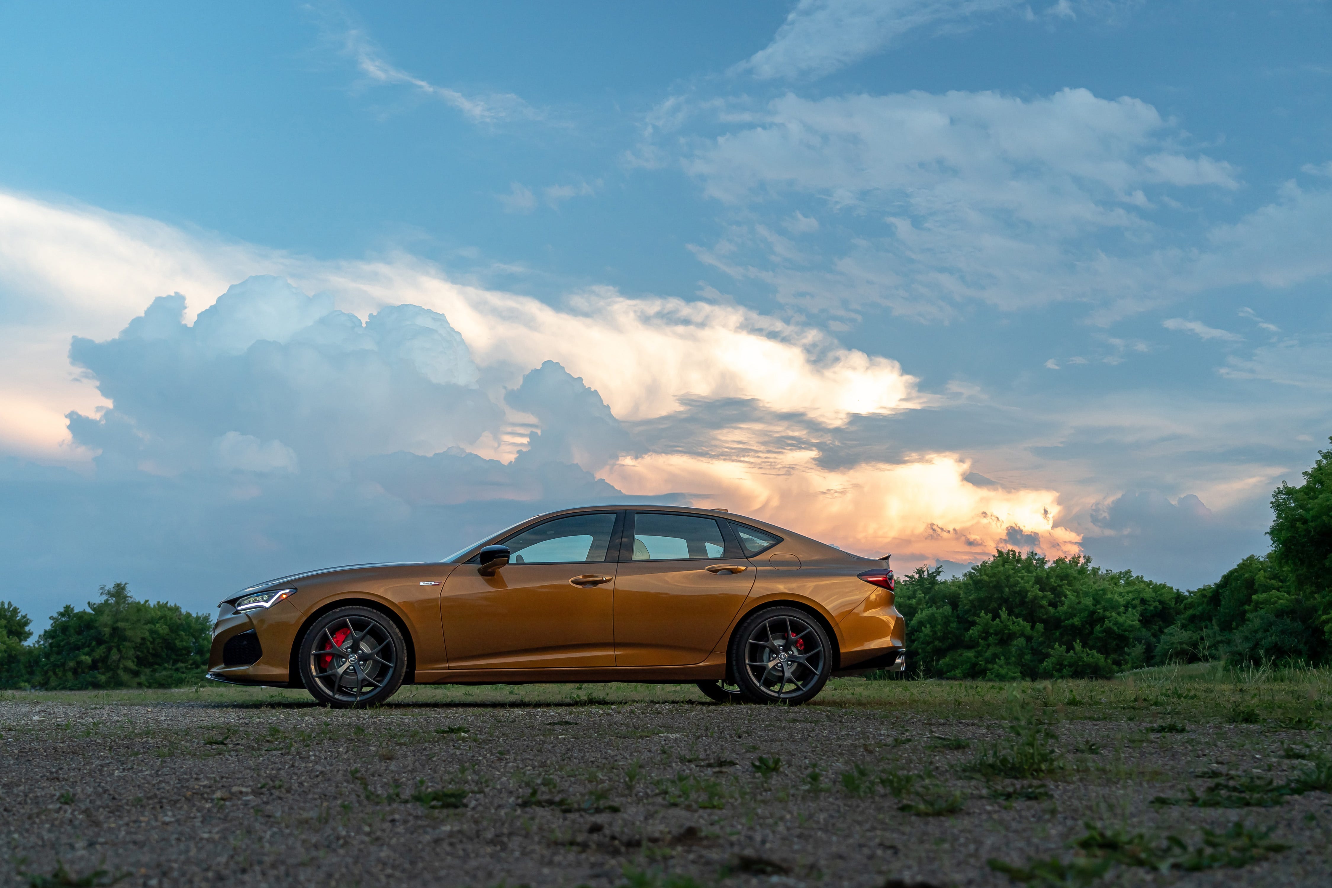 TLX
