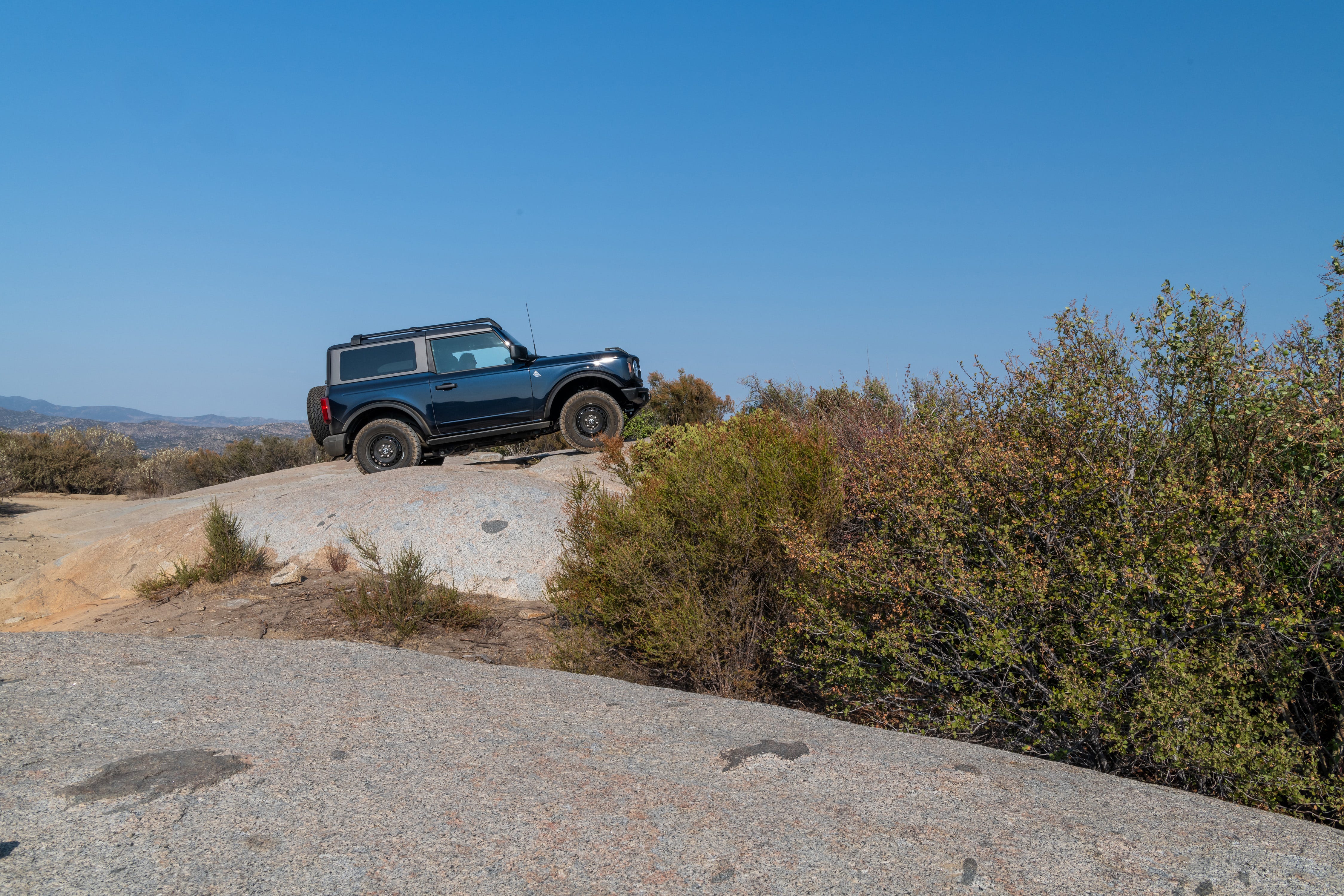Bronco
