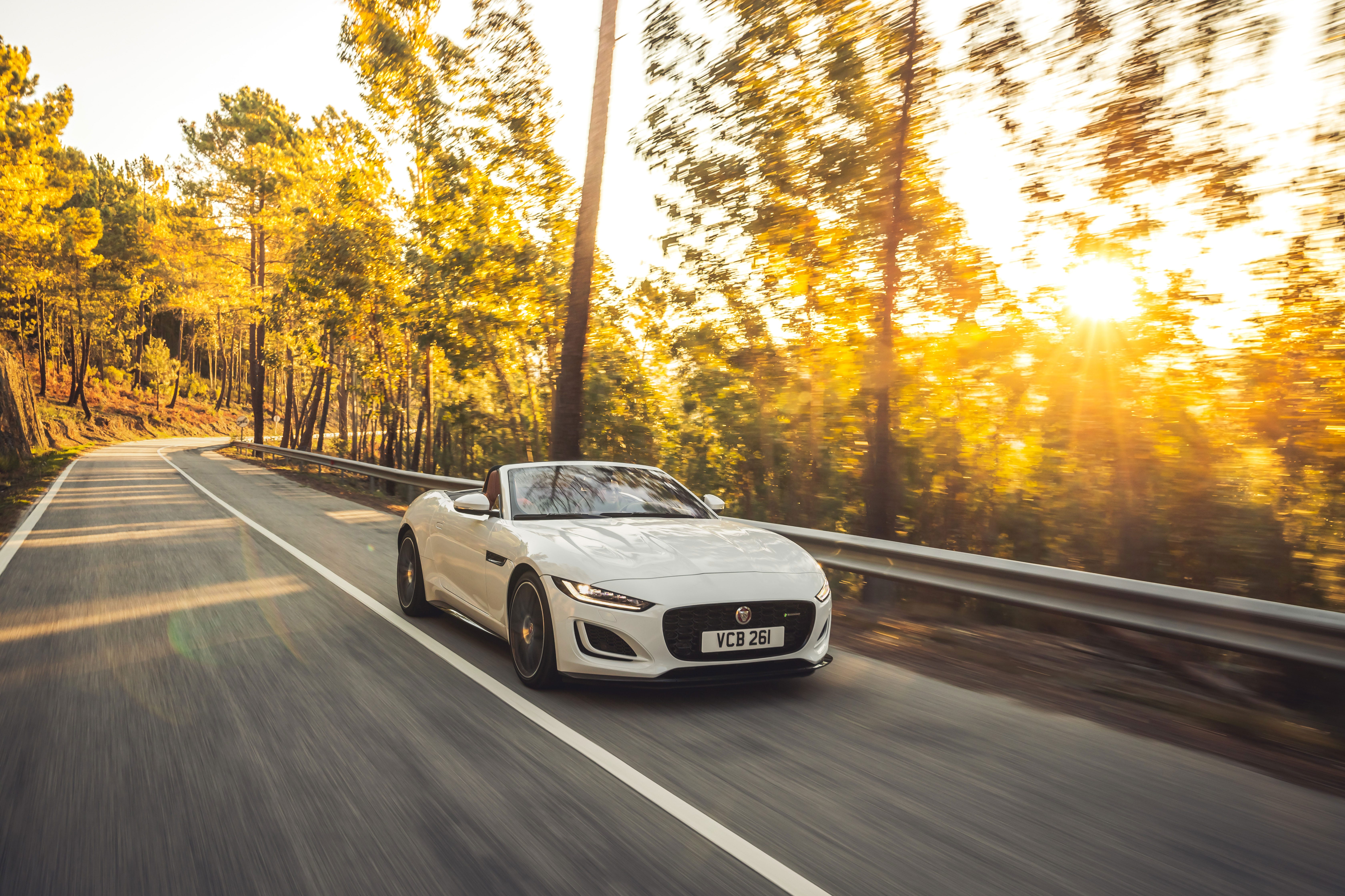 F-Type