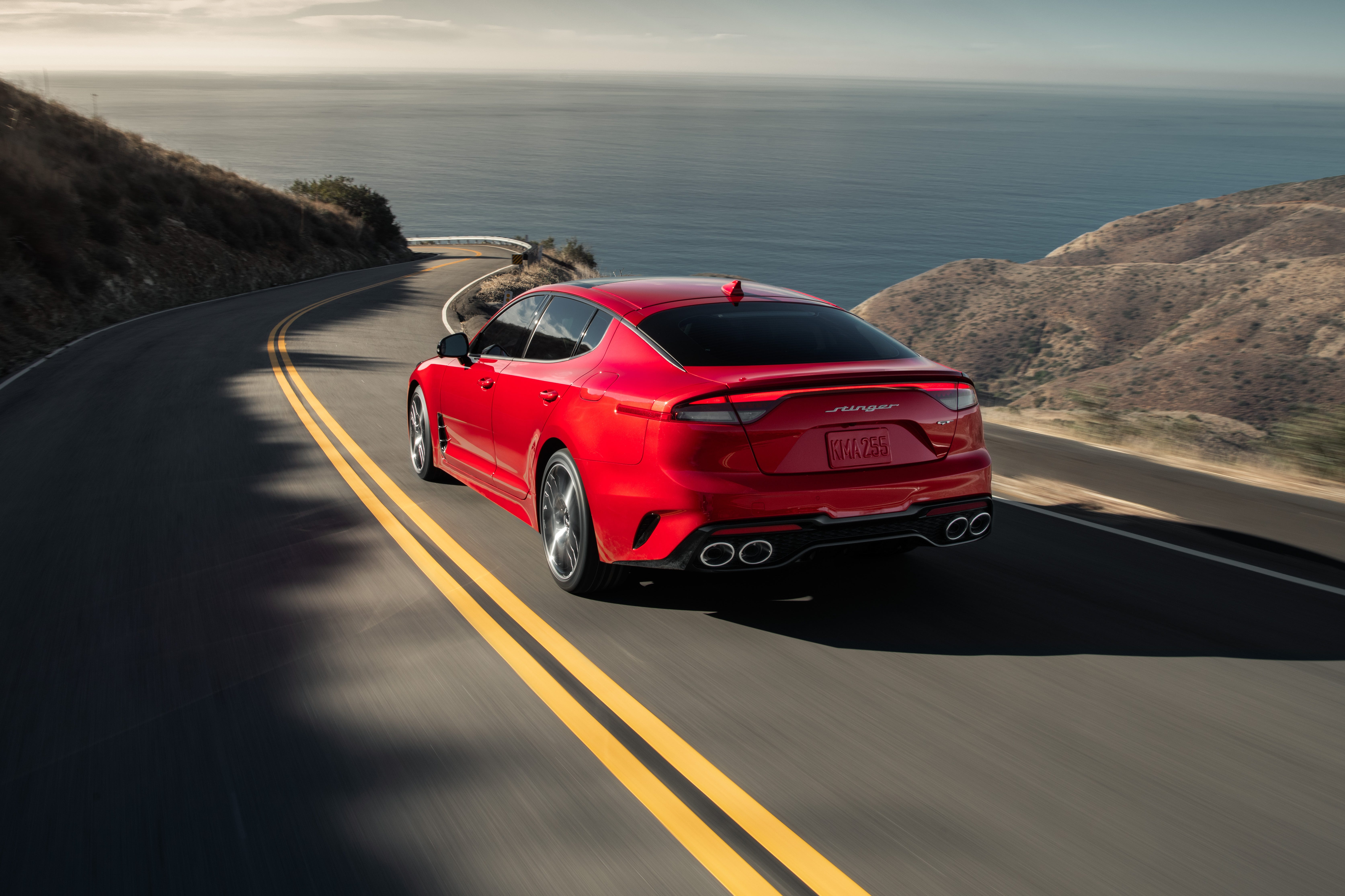 Stinger