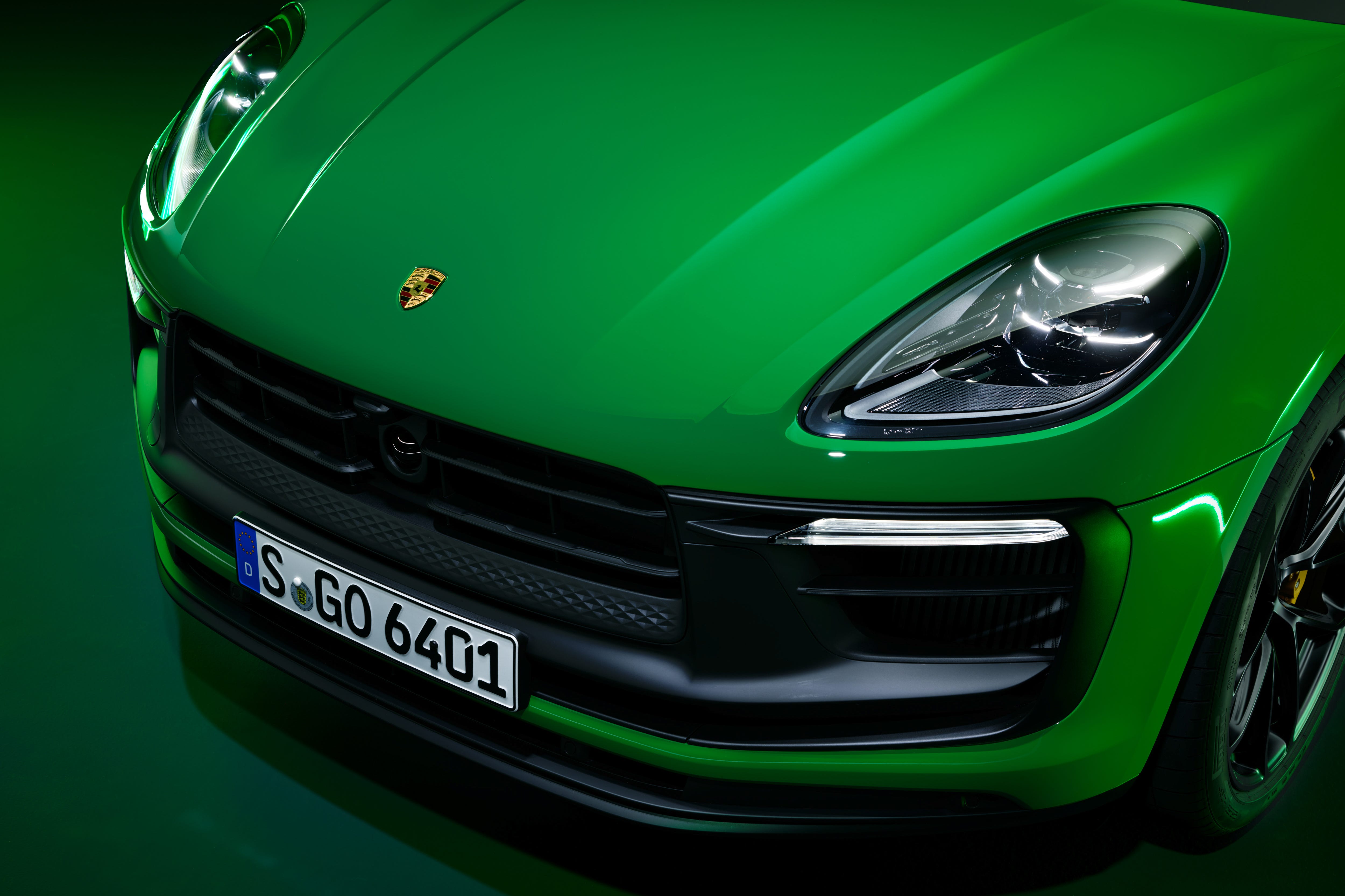 Macan