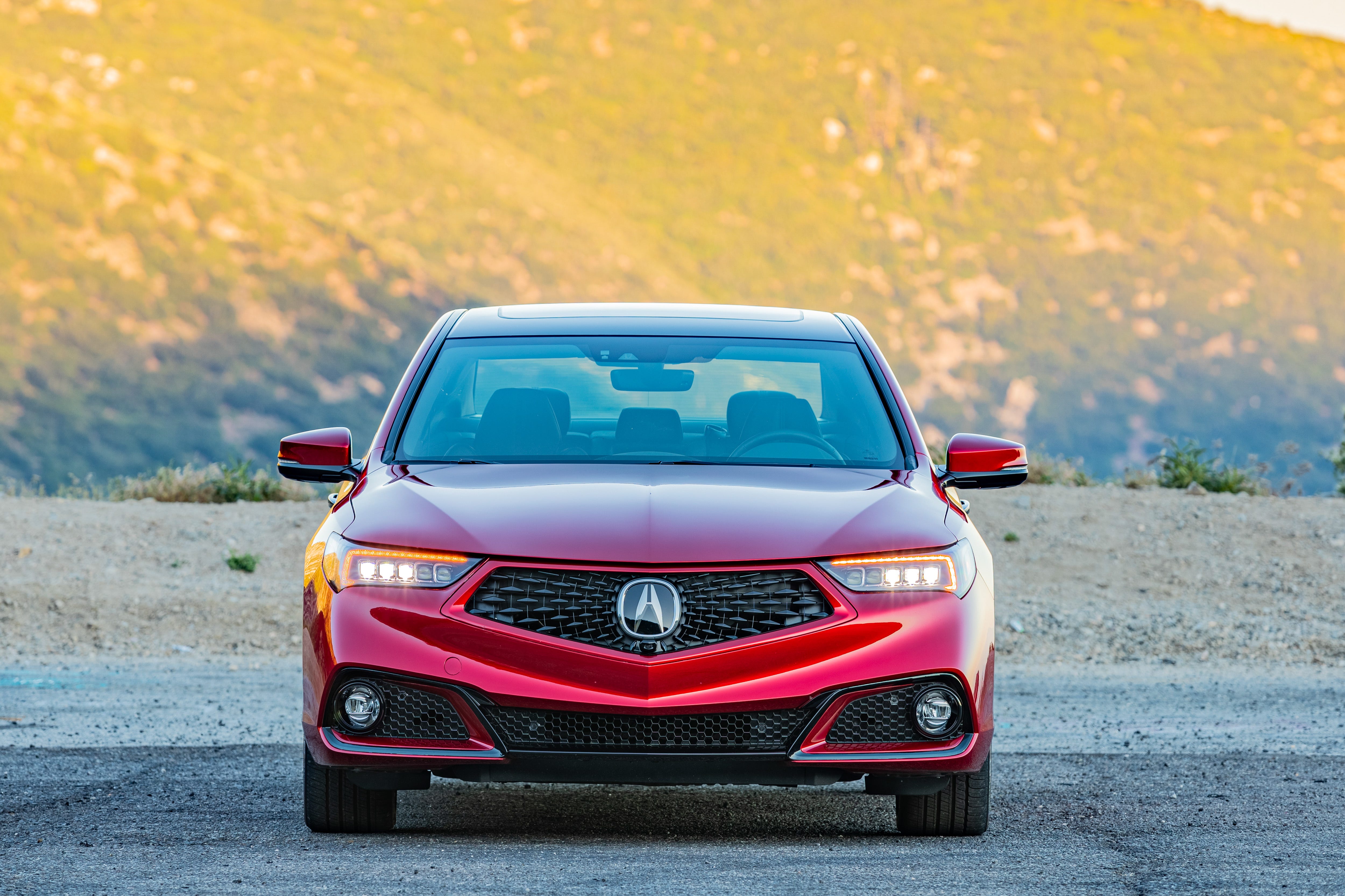 TLX