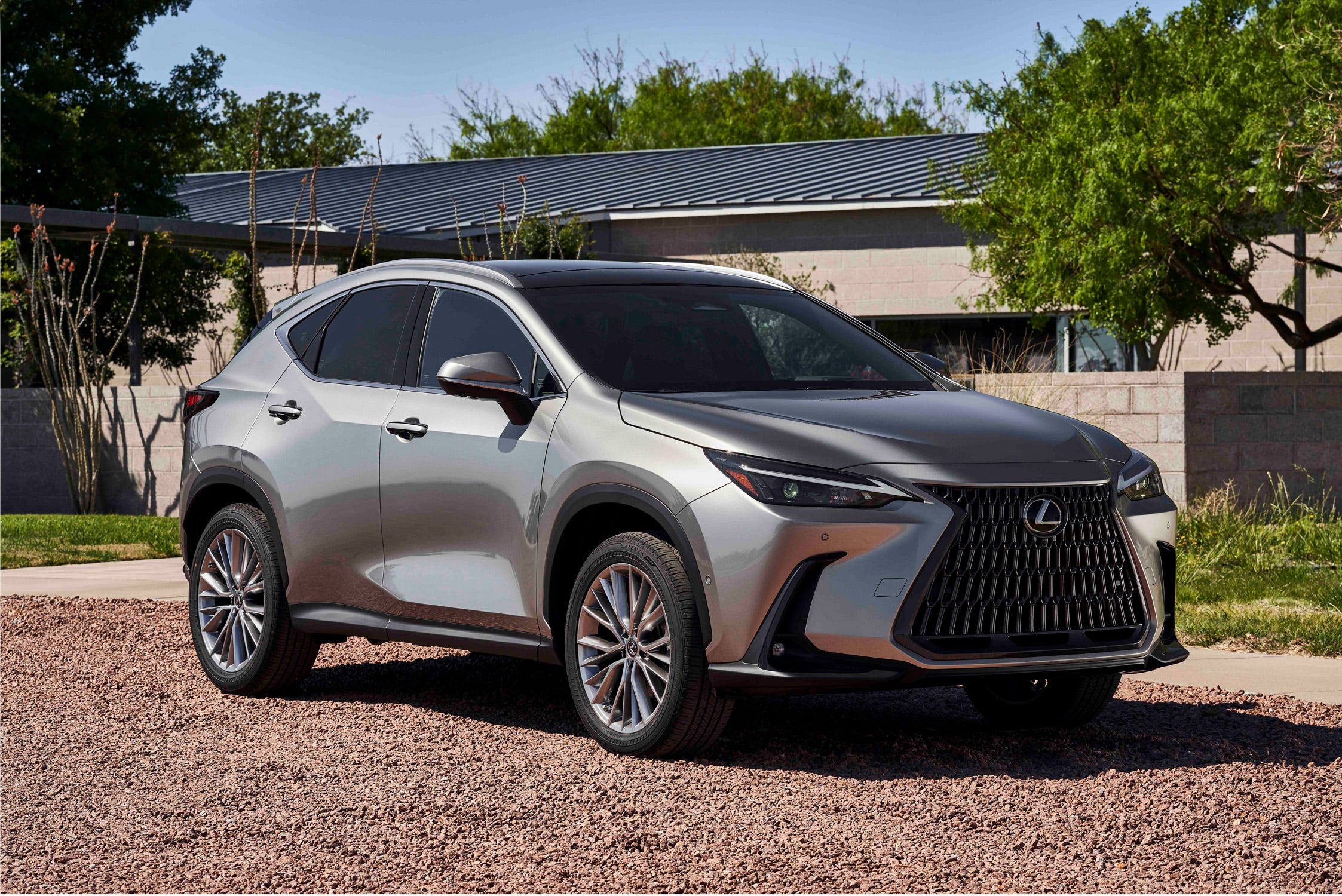 NX Hybrid