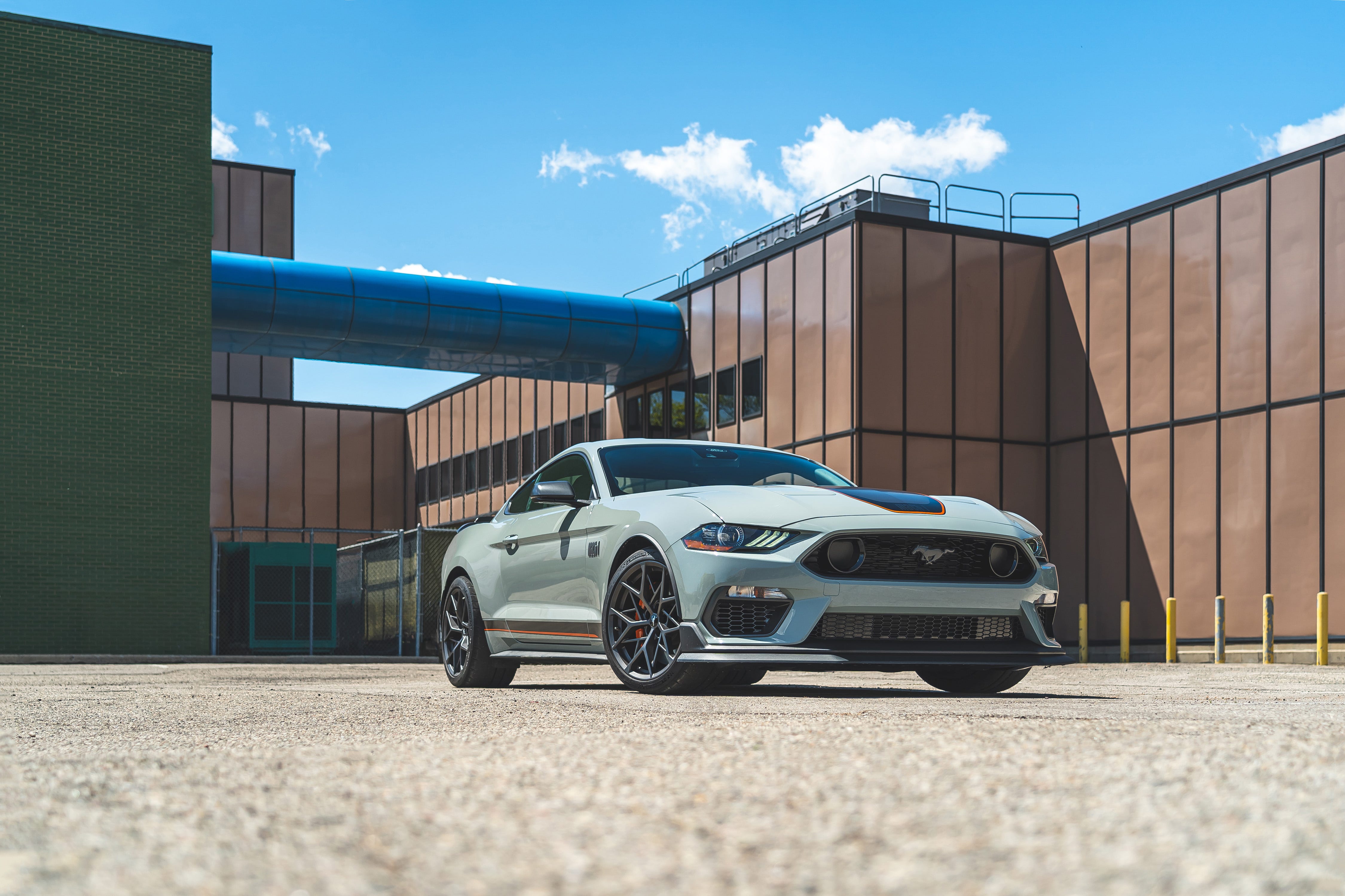 Mustang