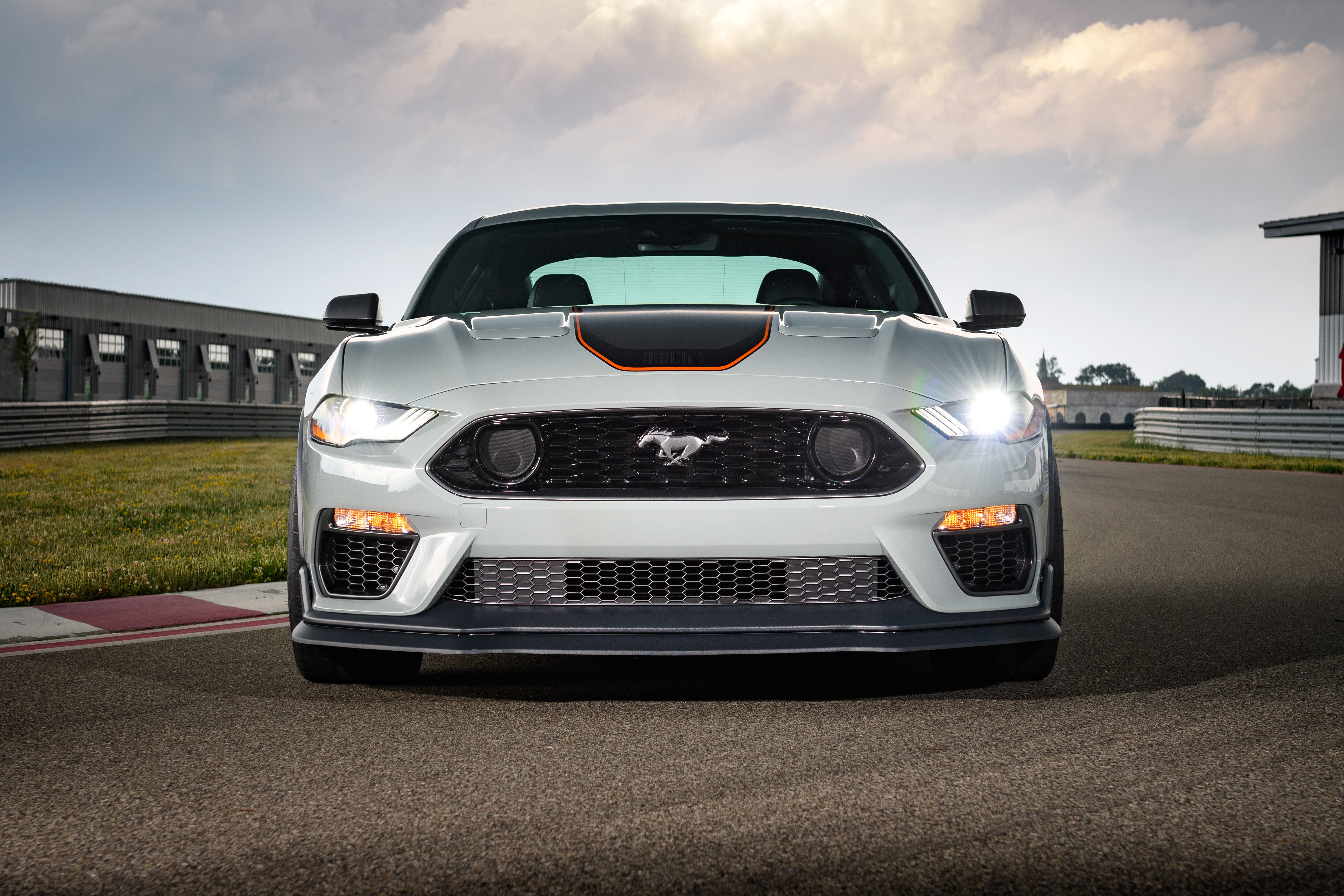 Mustang