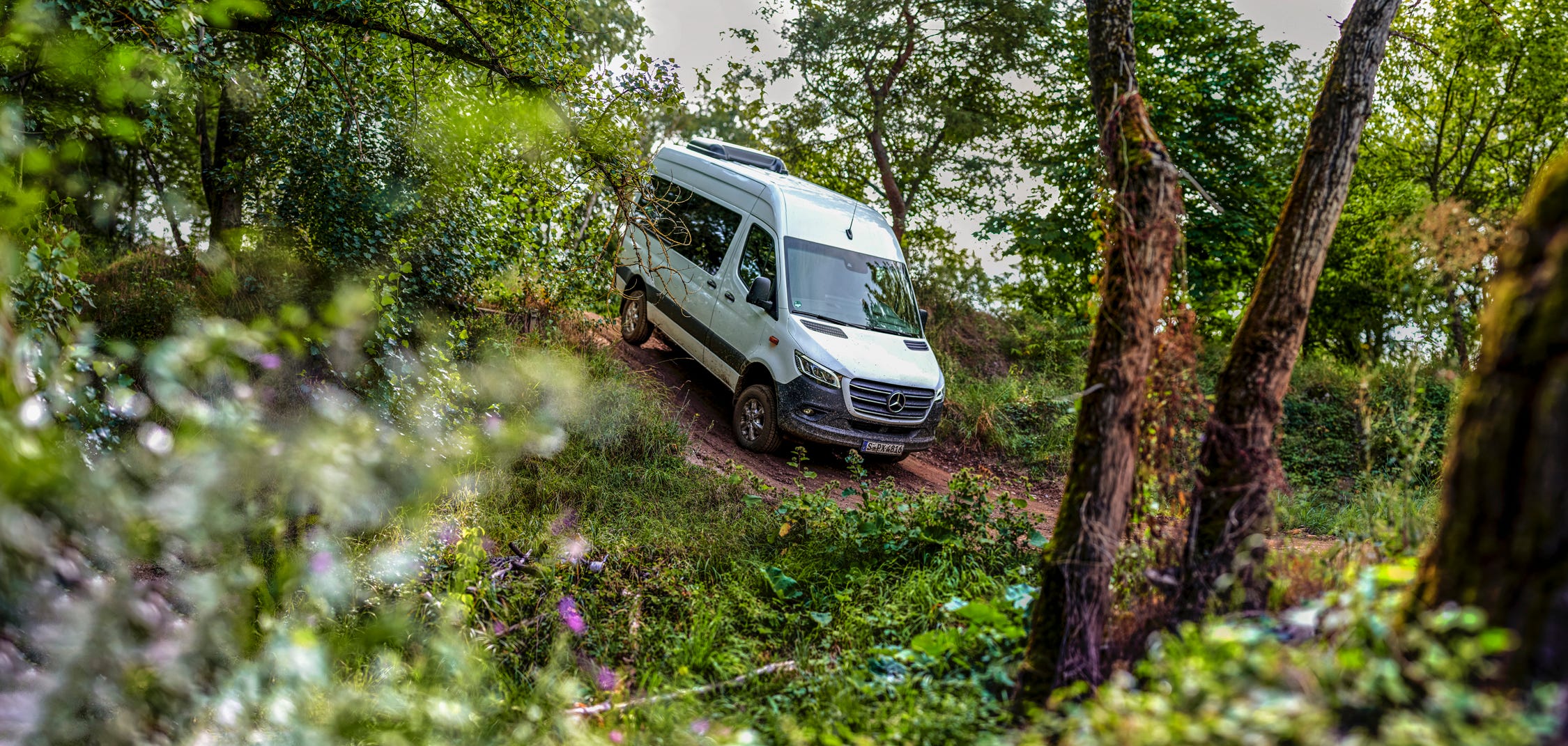 Sprinter