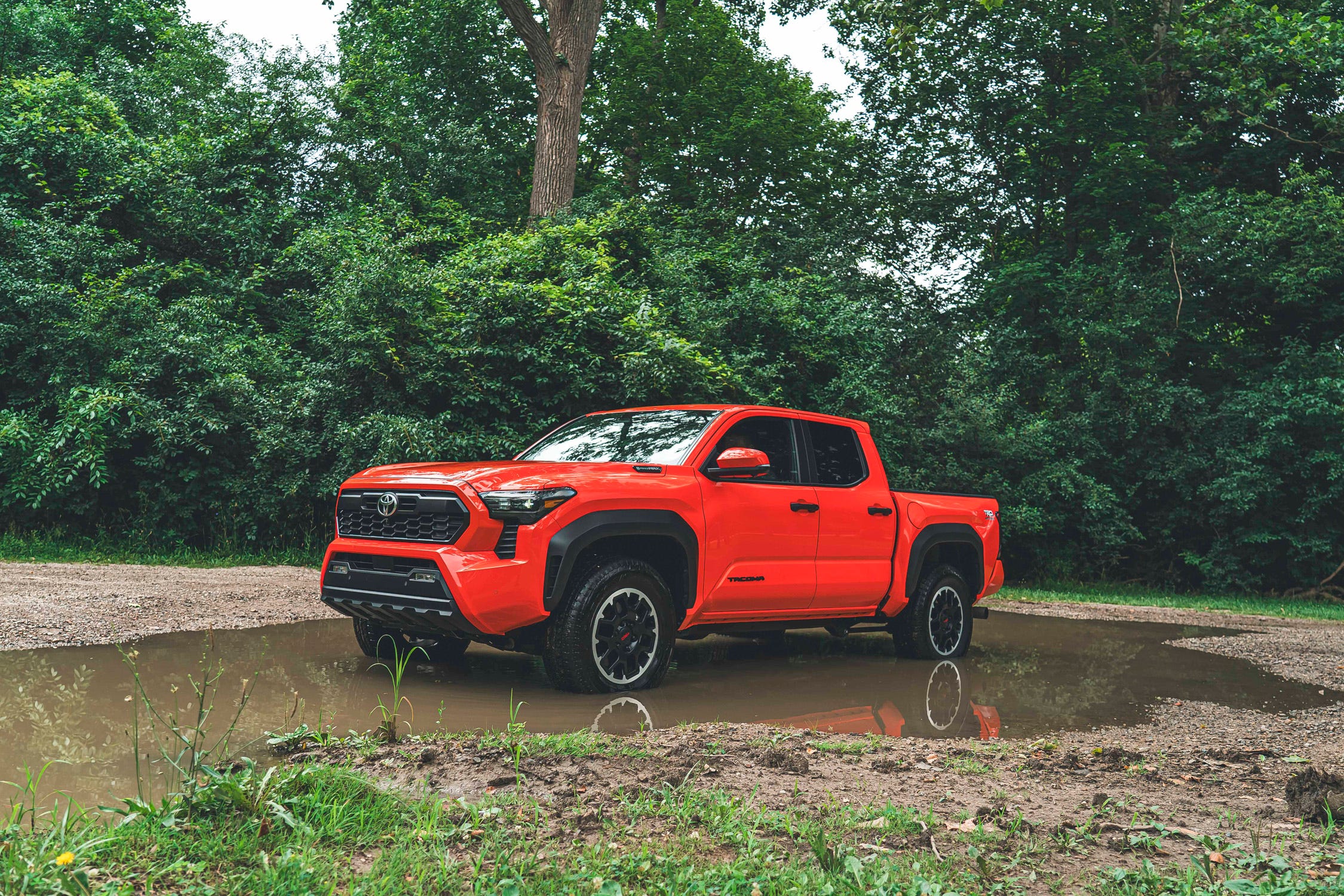 Tacoma Hybrid