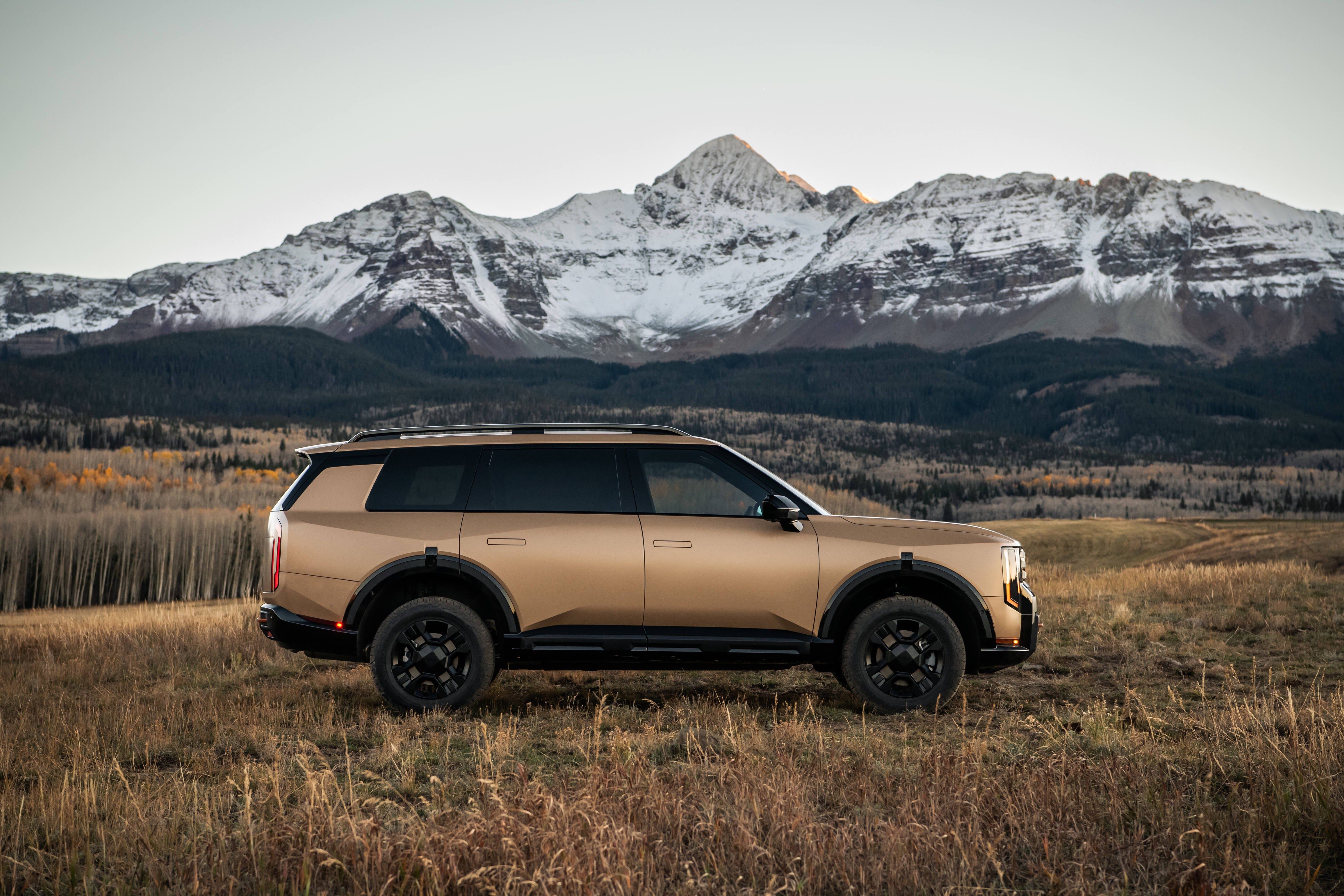 Telluride Hybrid