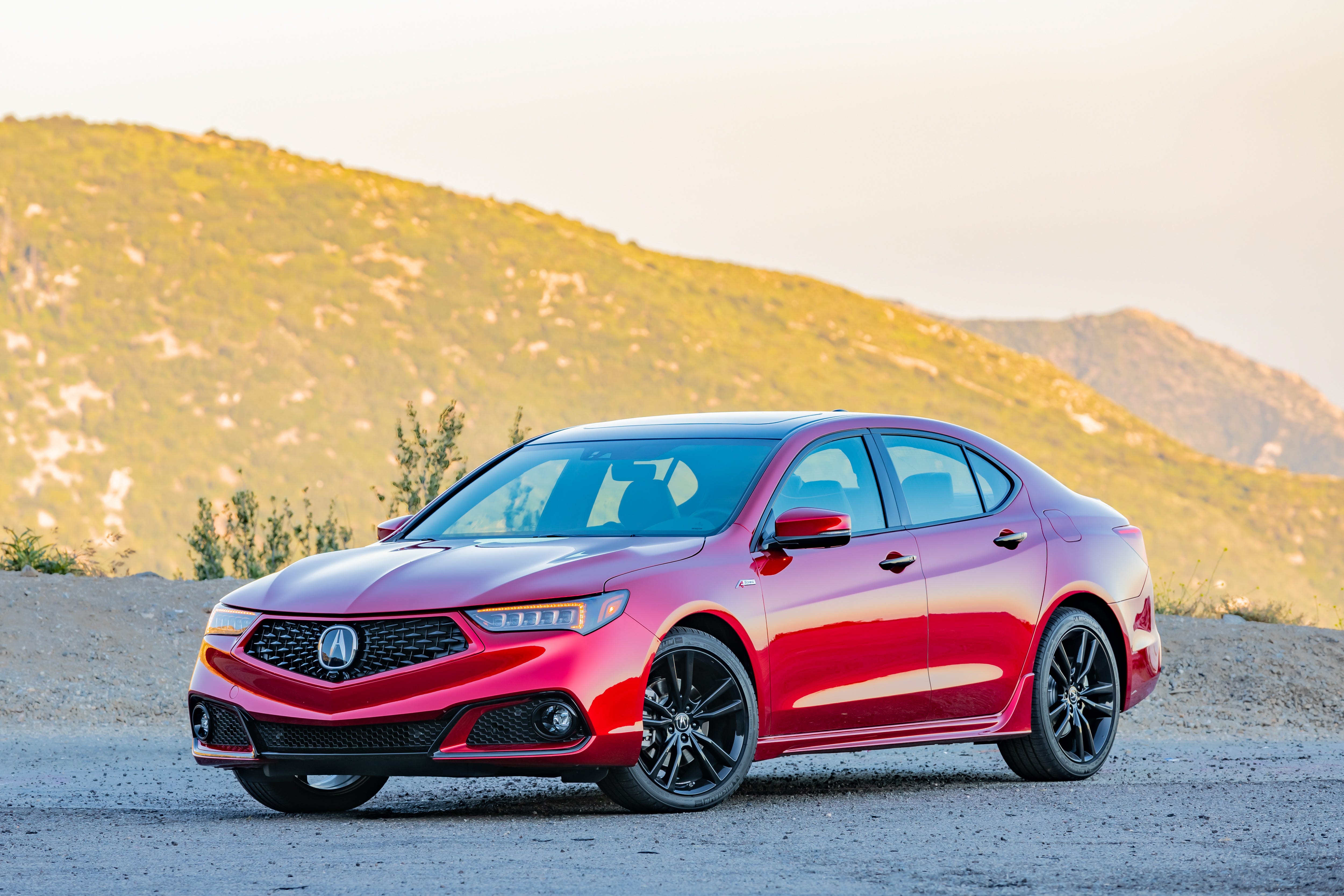 TLX