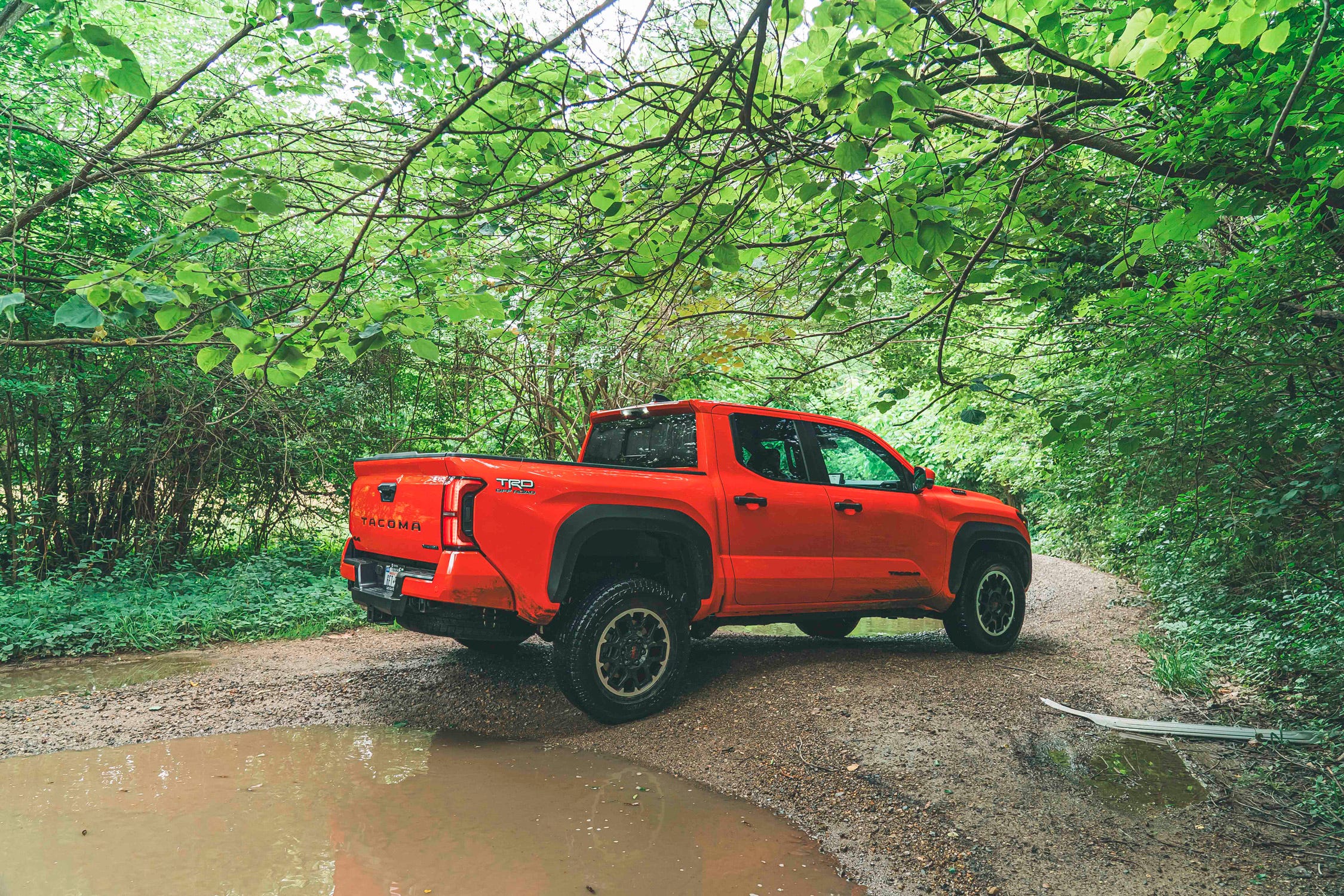 Tacoma Hybrid