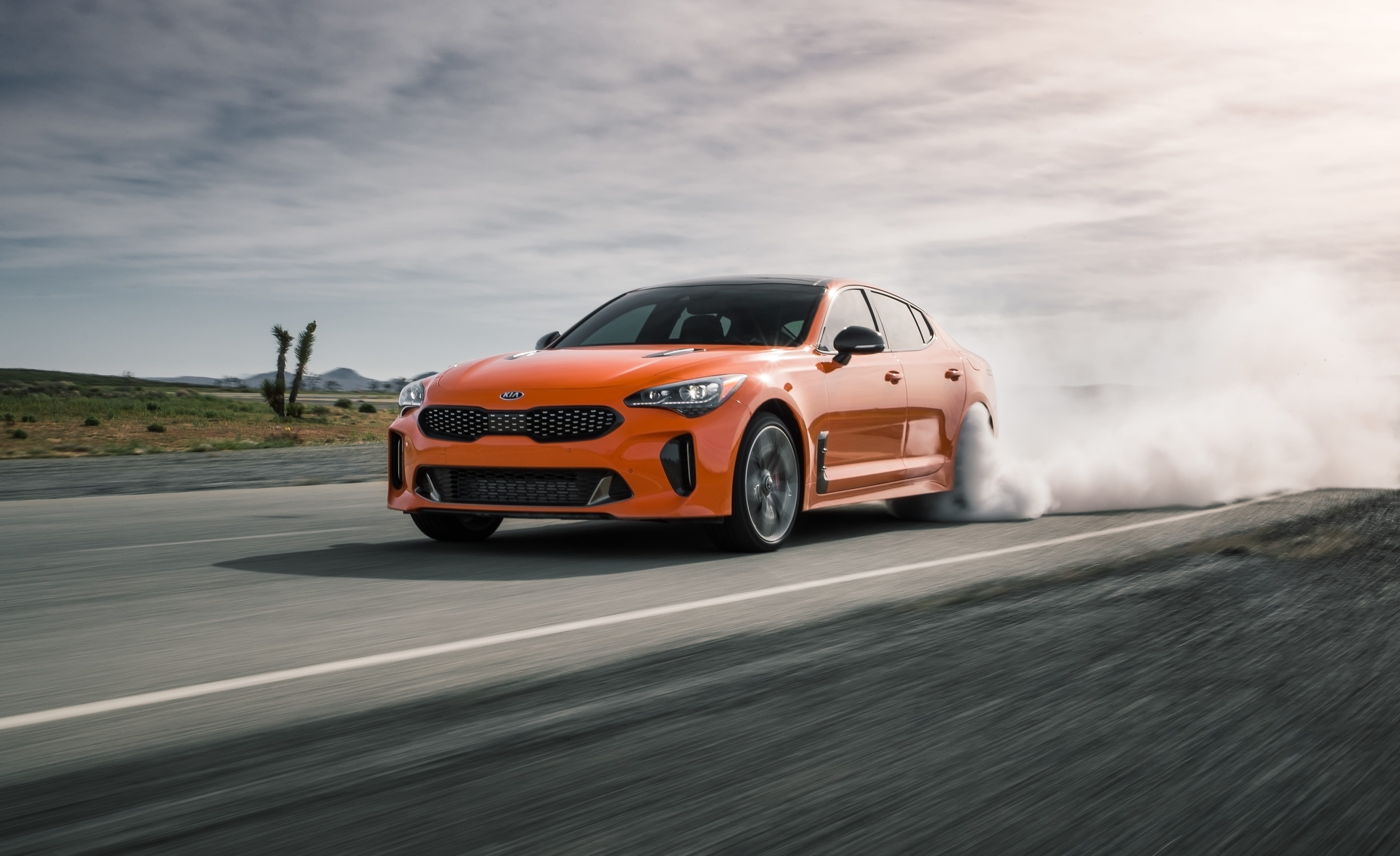 Stinger