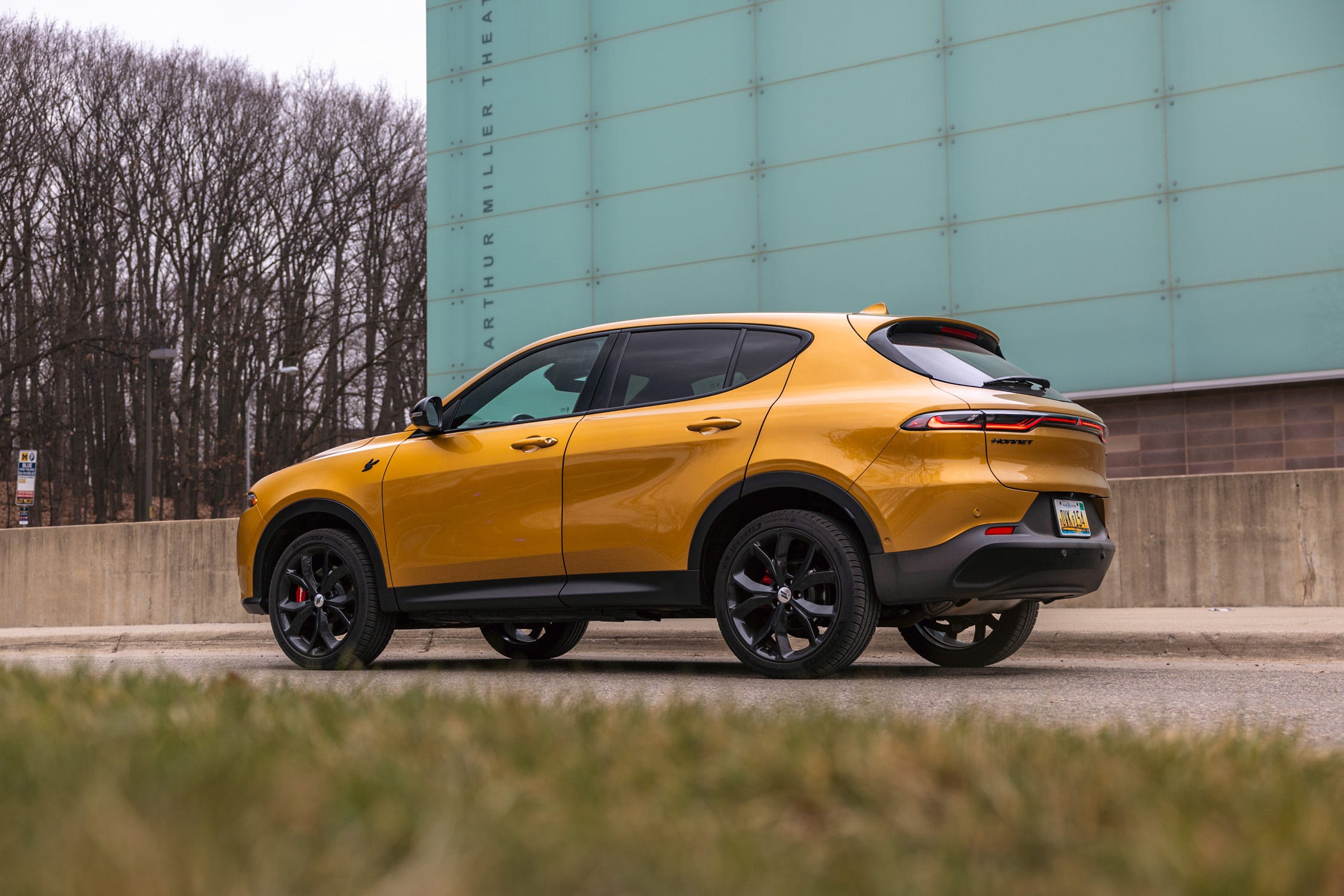 Hornet