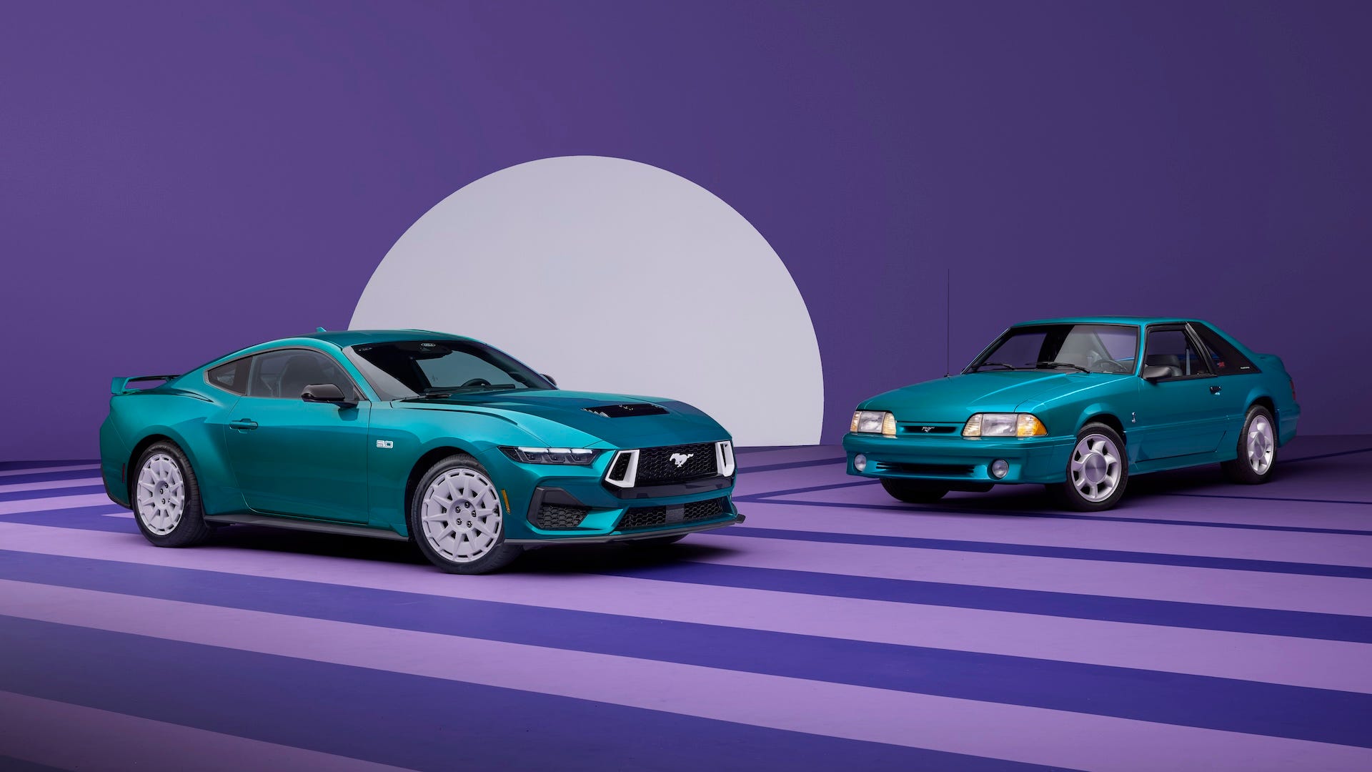 Mustang