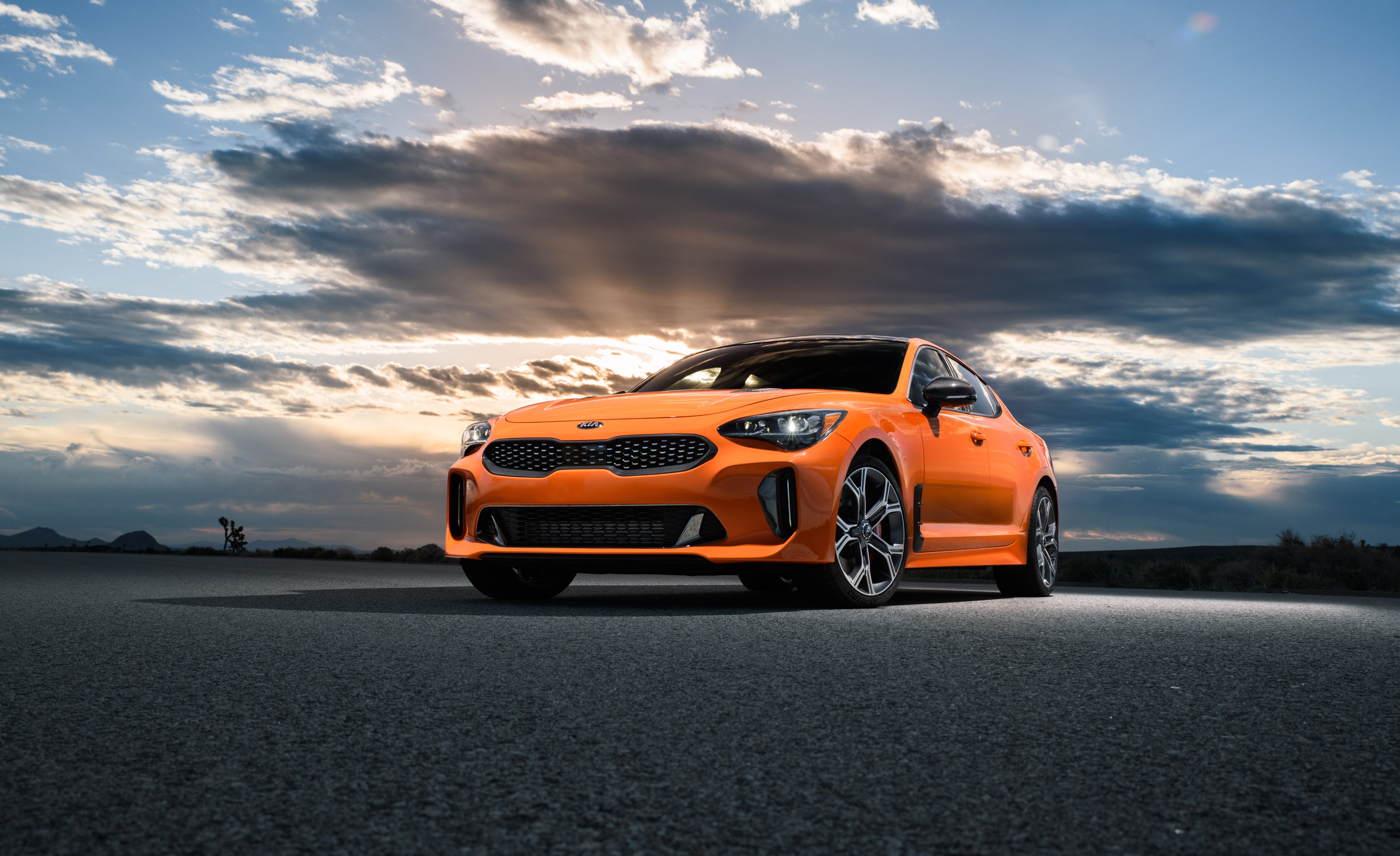 Stinger